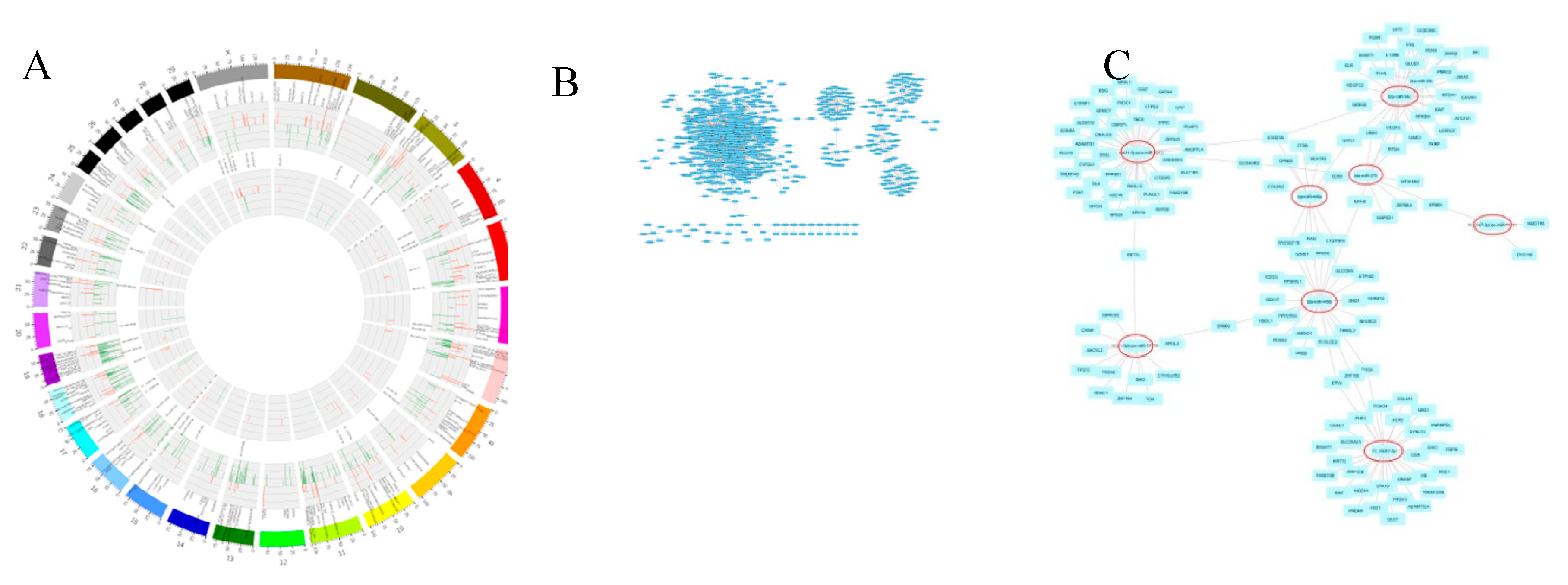 Preprints 90063 g006