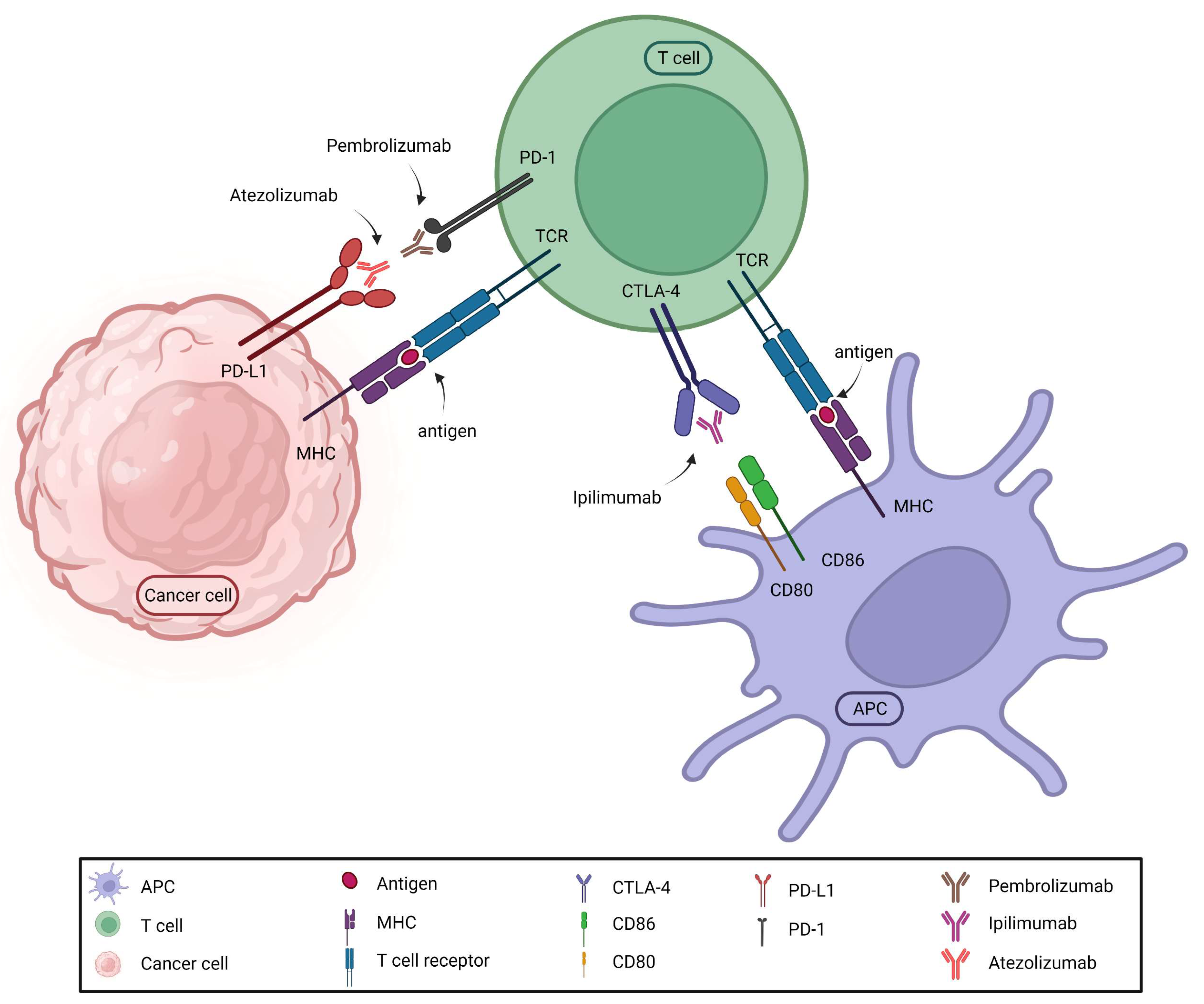 Preprints 76846 g002