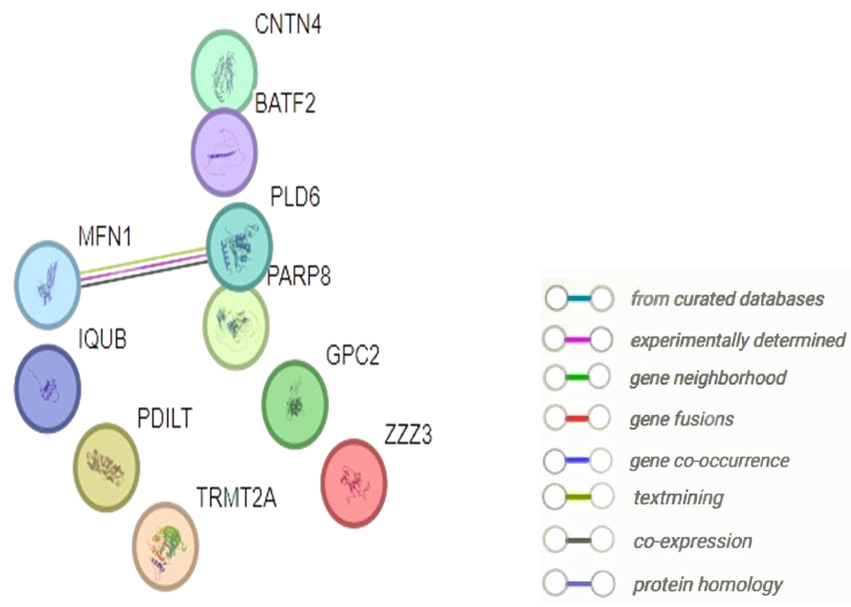 Preprints 107068 g004