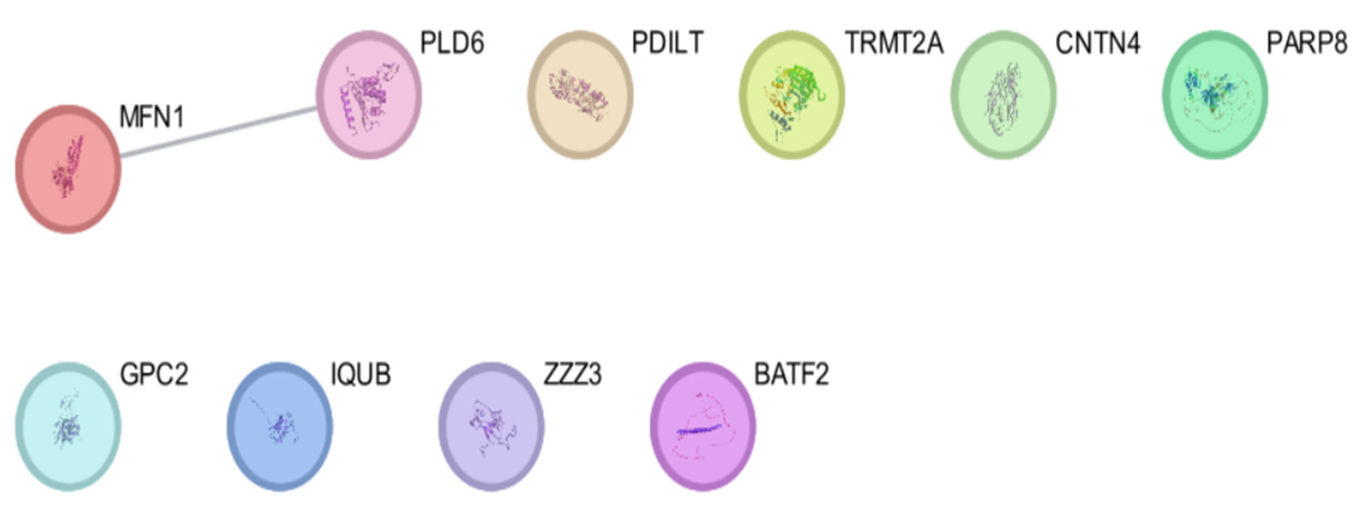 Preprints 107068 g005