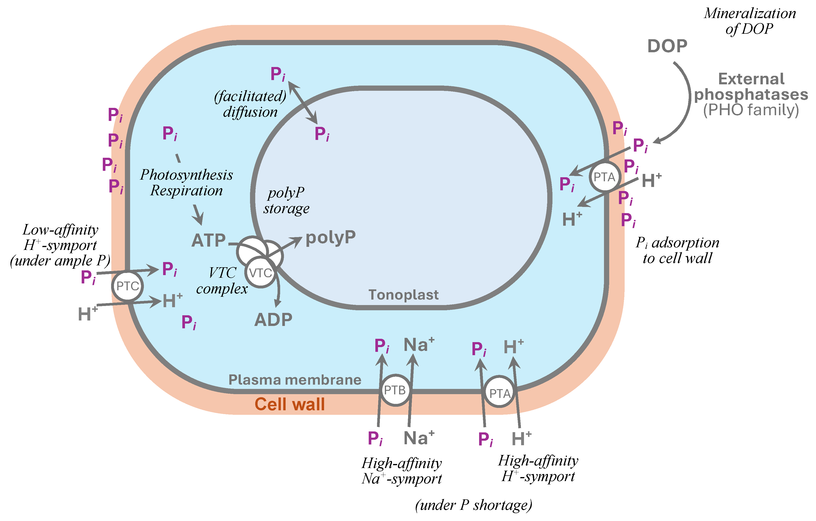 Preprints 106877 g002