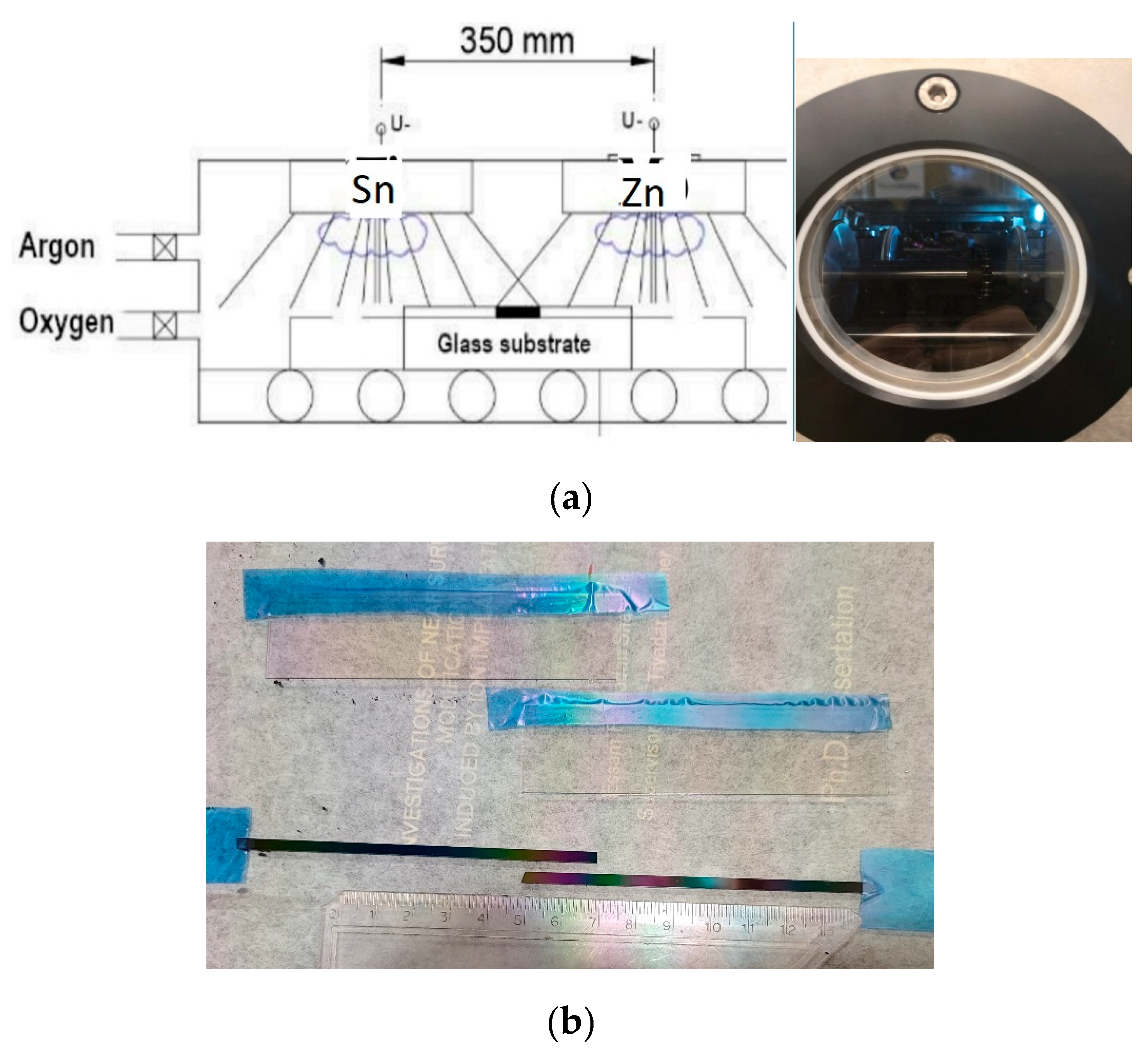 Preprints 116807 g001