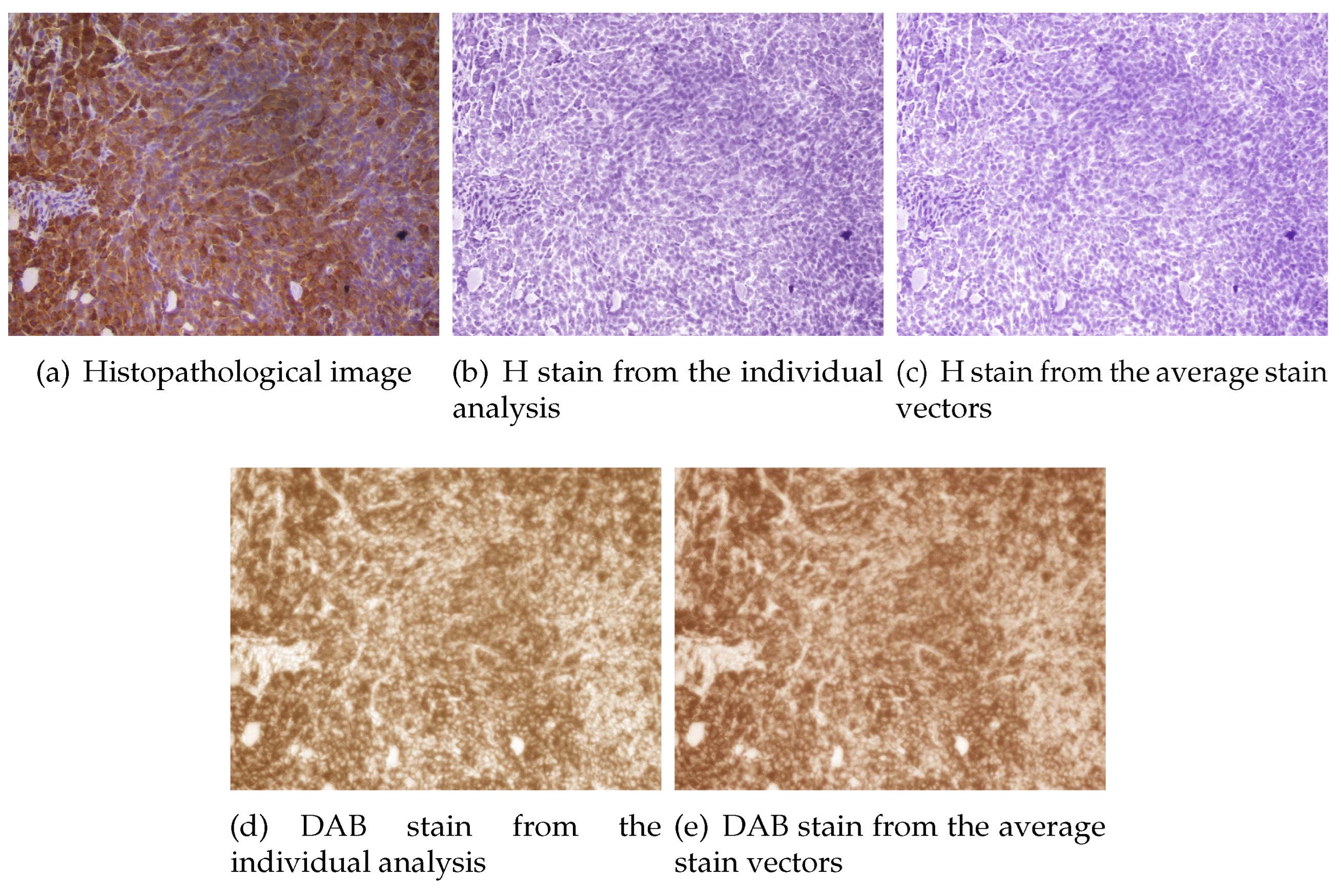 Preprints 94831 g005