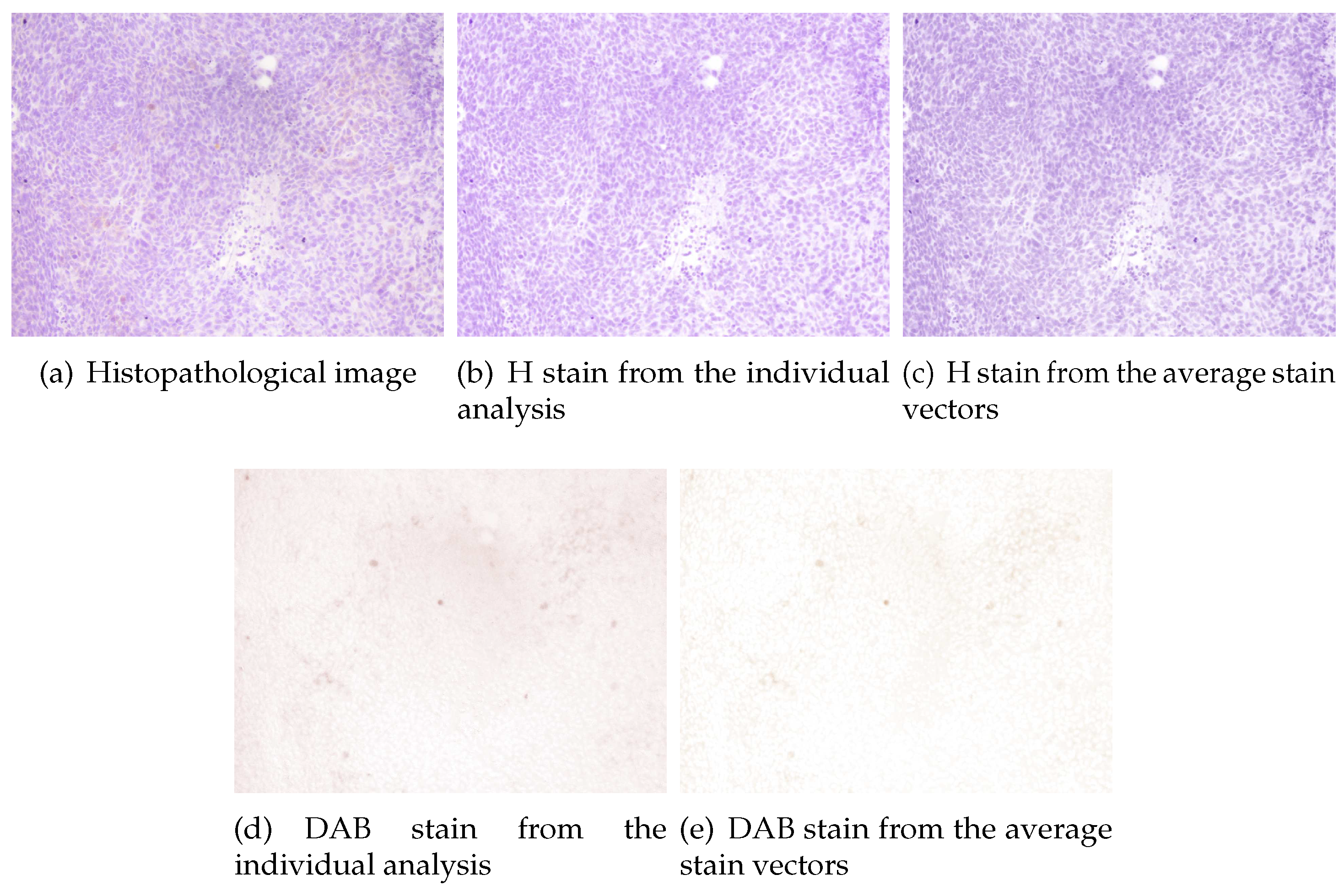 Preprints 94831 g006