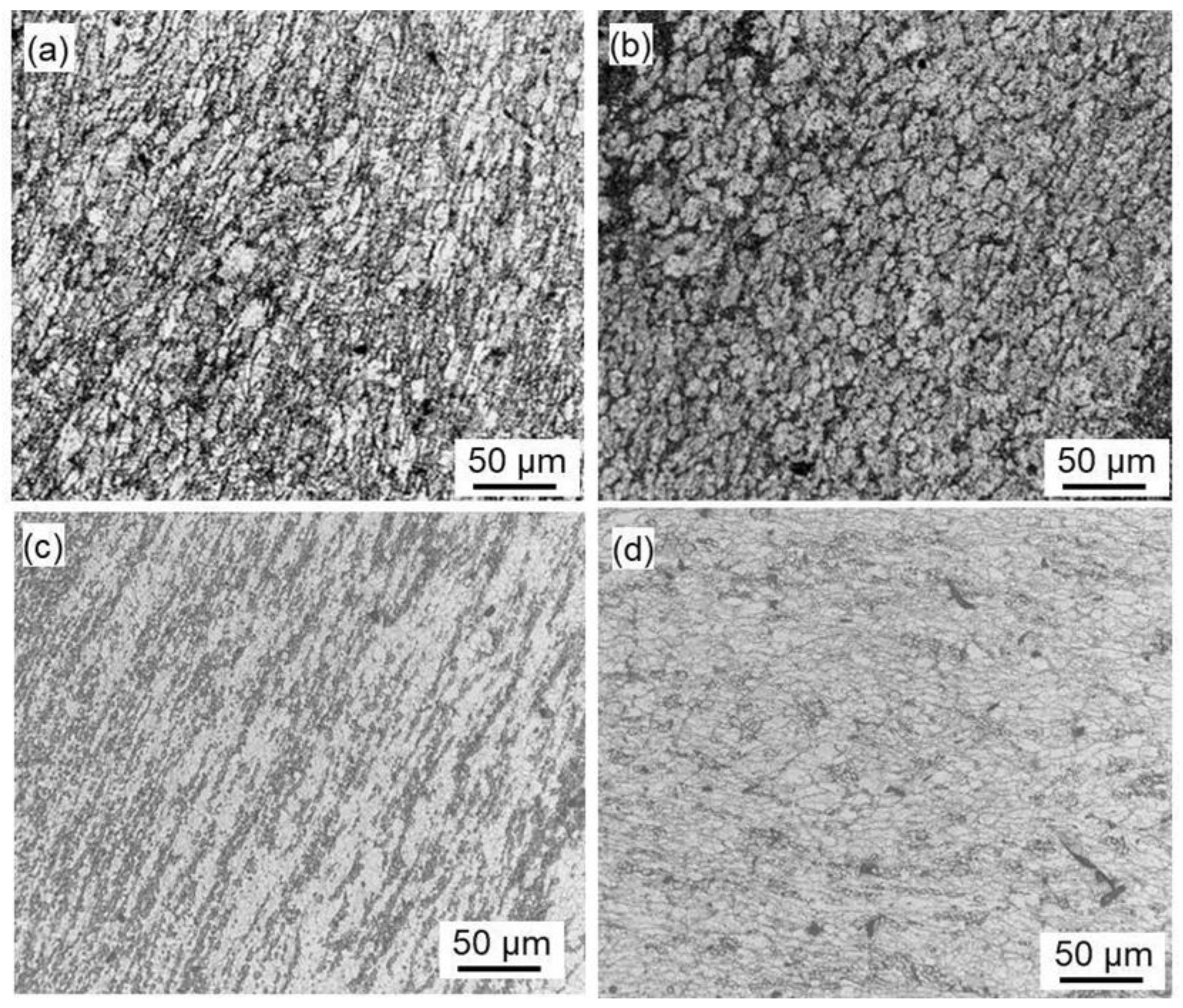 Preprints 110836 g003