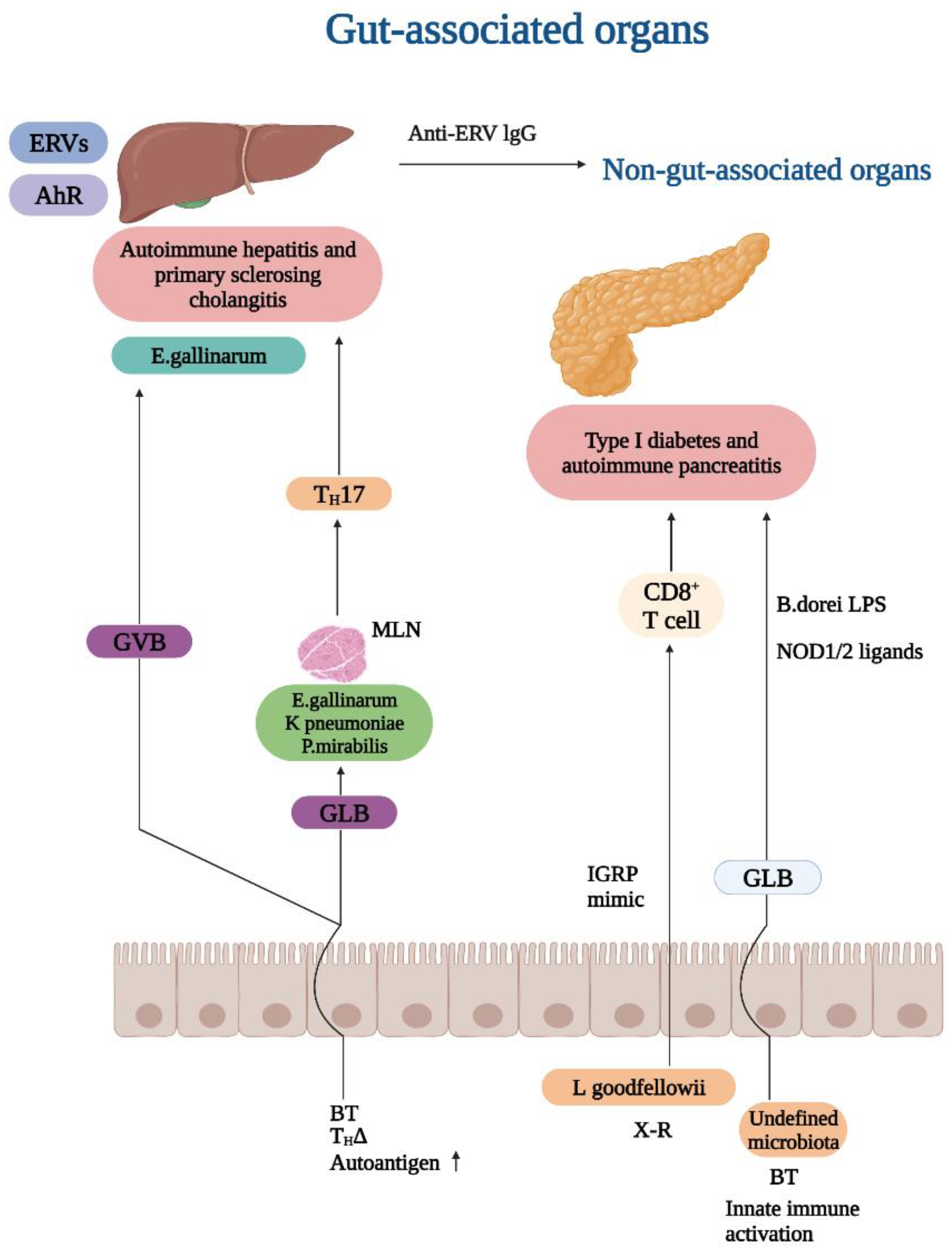 Preprints 82644 g001