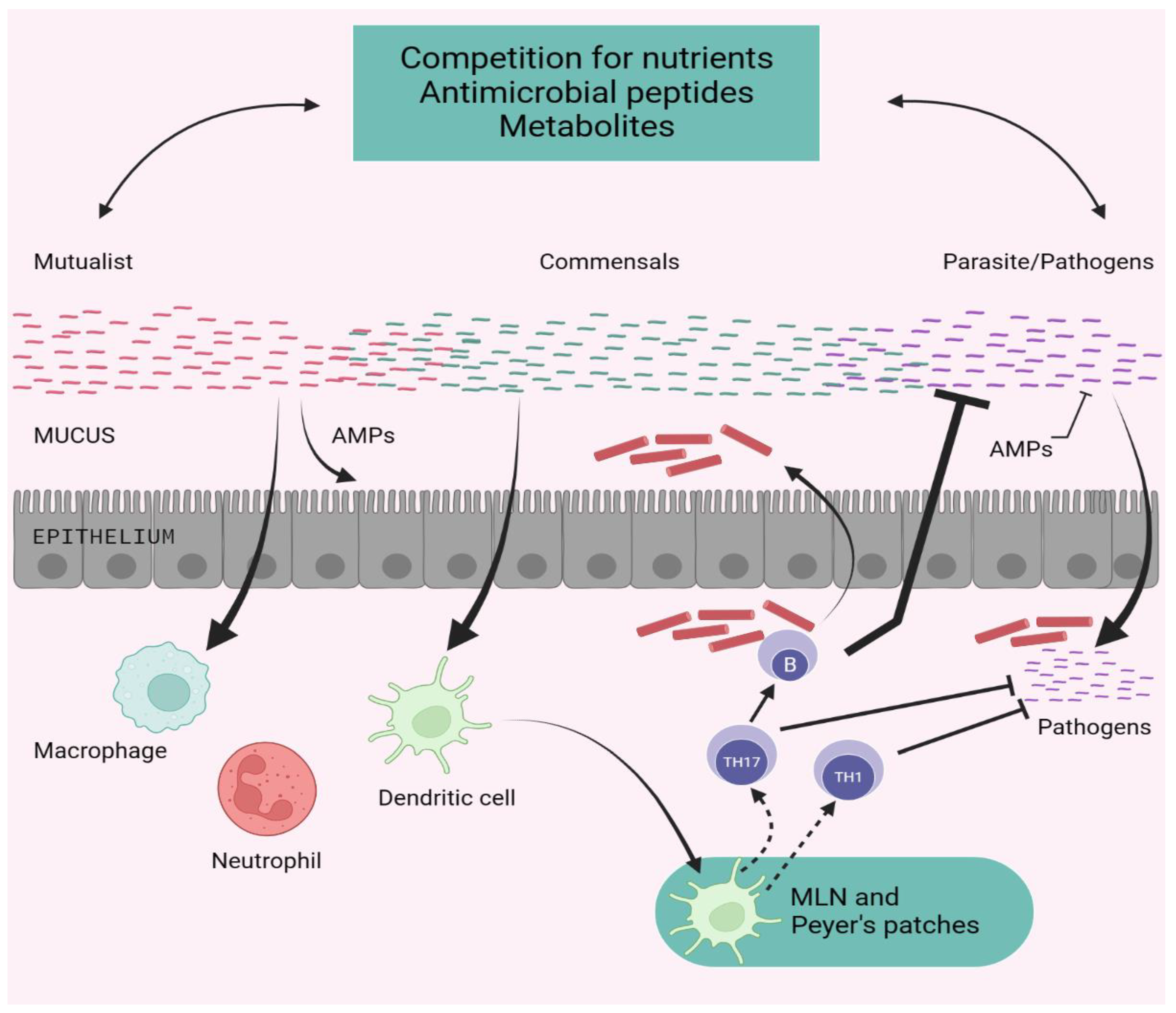 Preprints 82644 g003