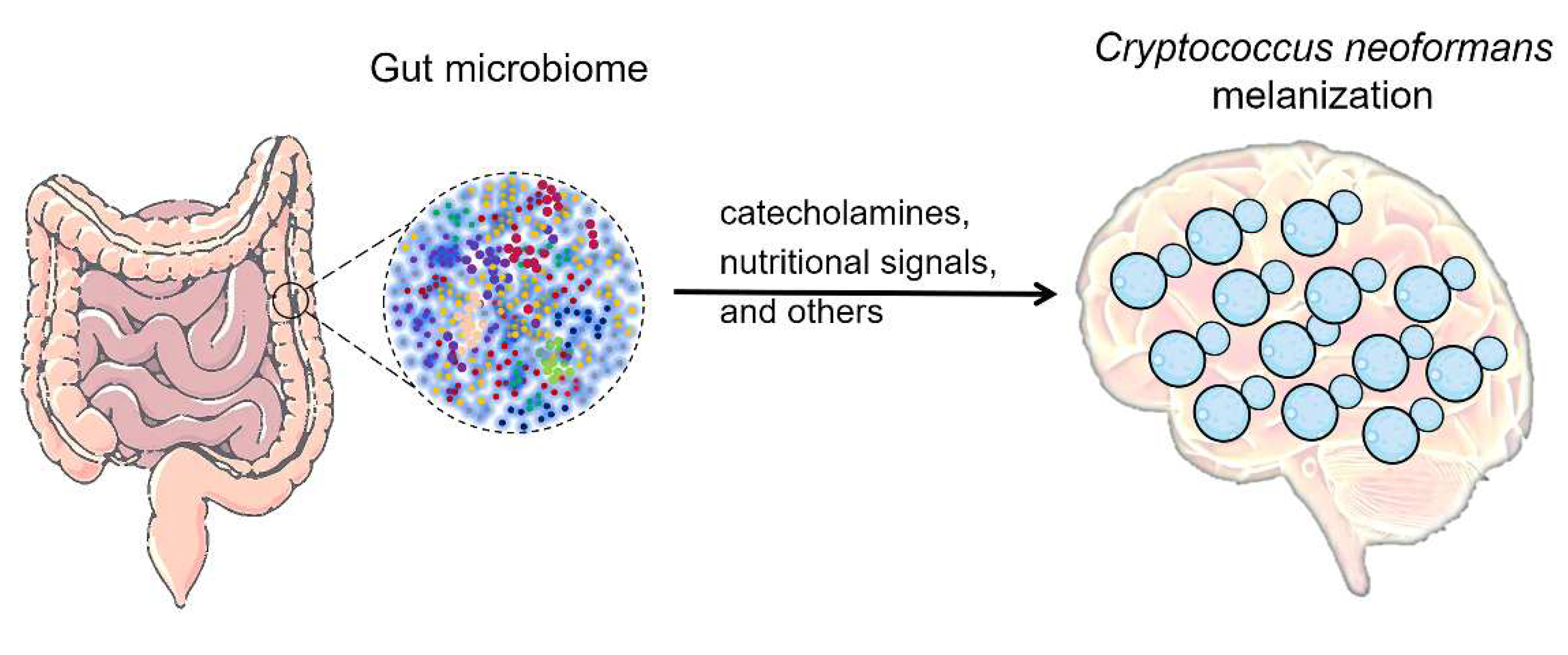 Preprints 82144 g002