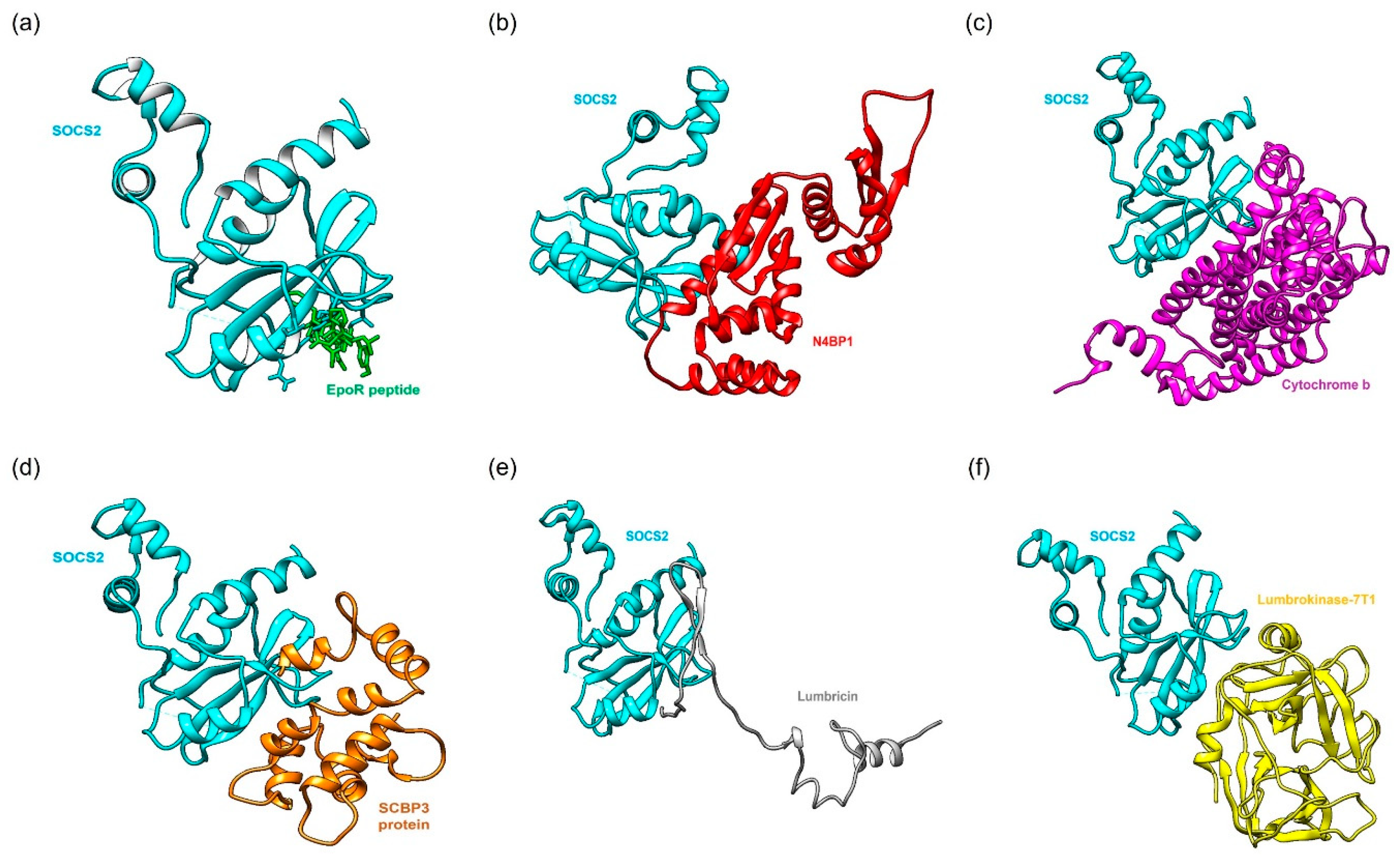 Preprints 118412 g002