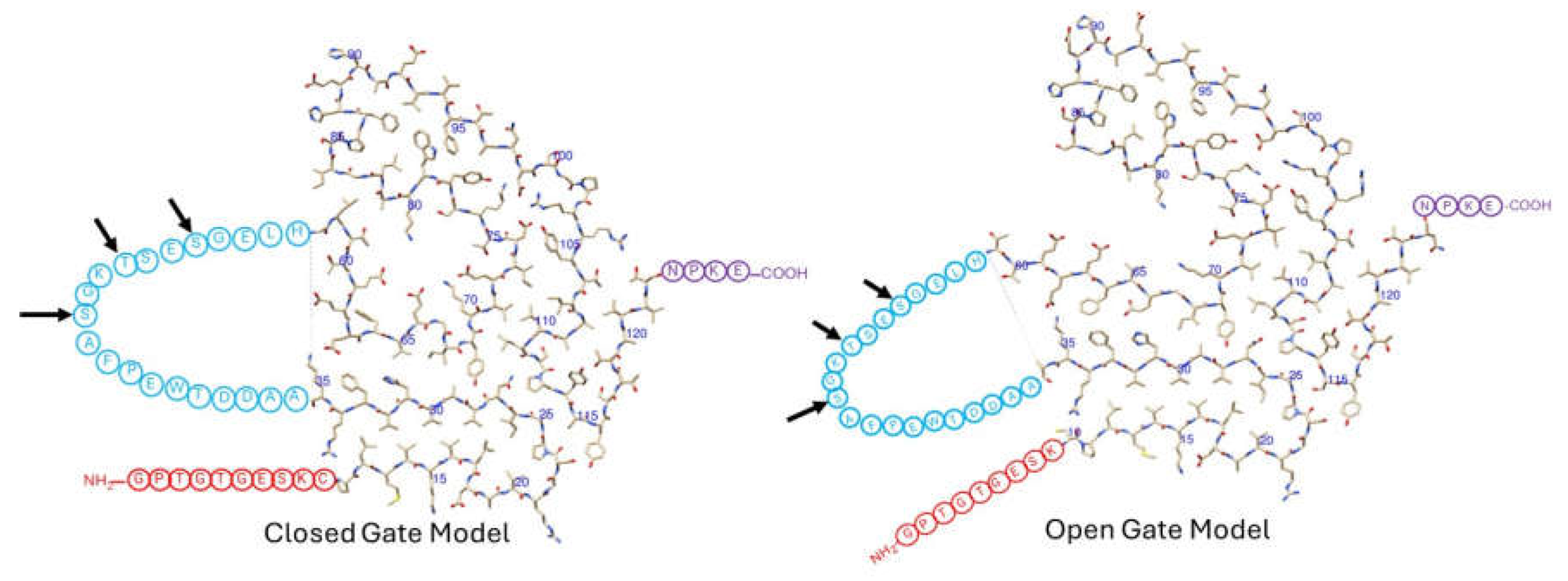 Preprints 114664 g002