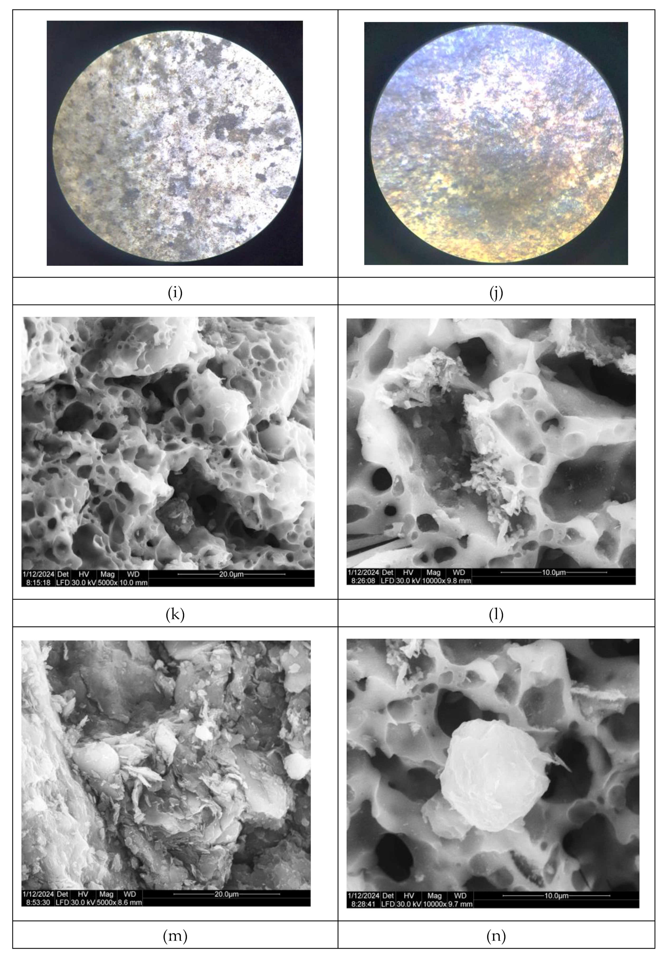 Preprints 108438 g004b