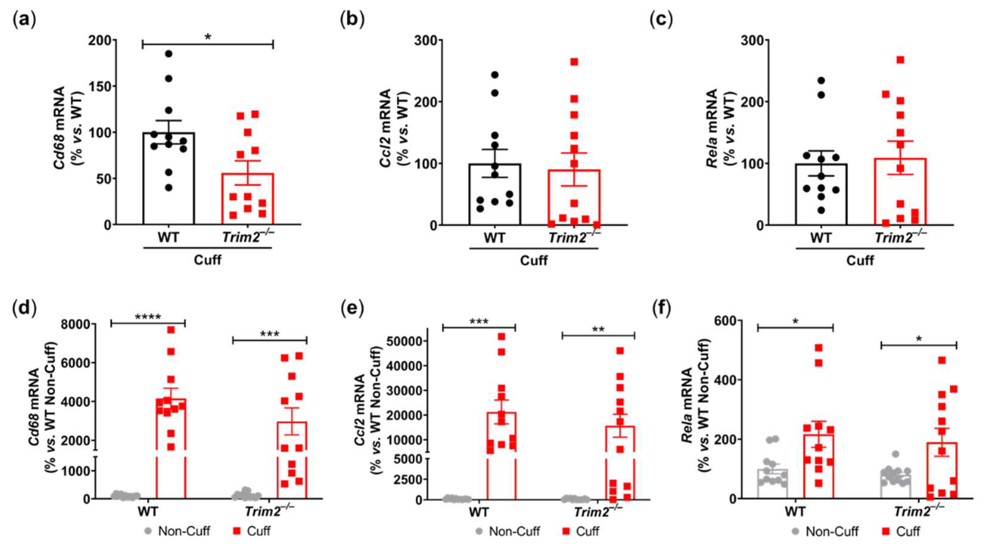 Preprints 99252 g002