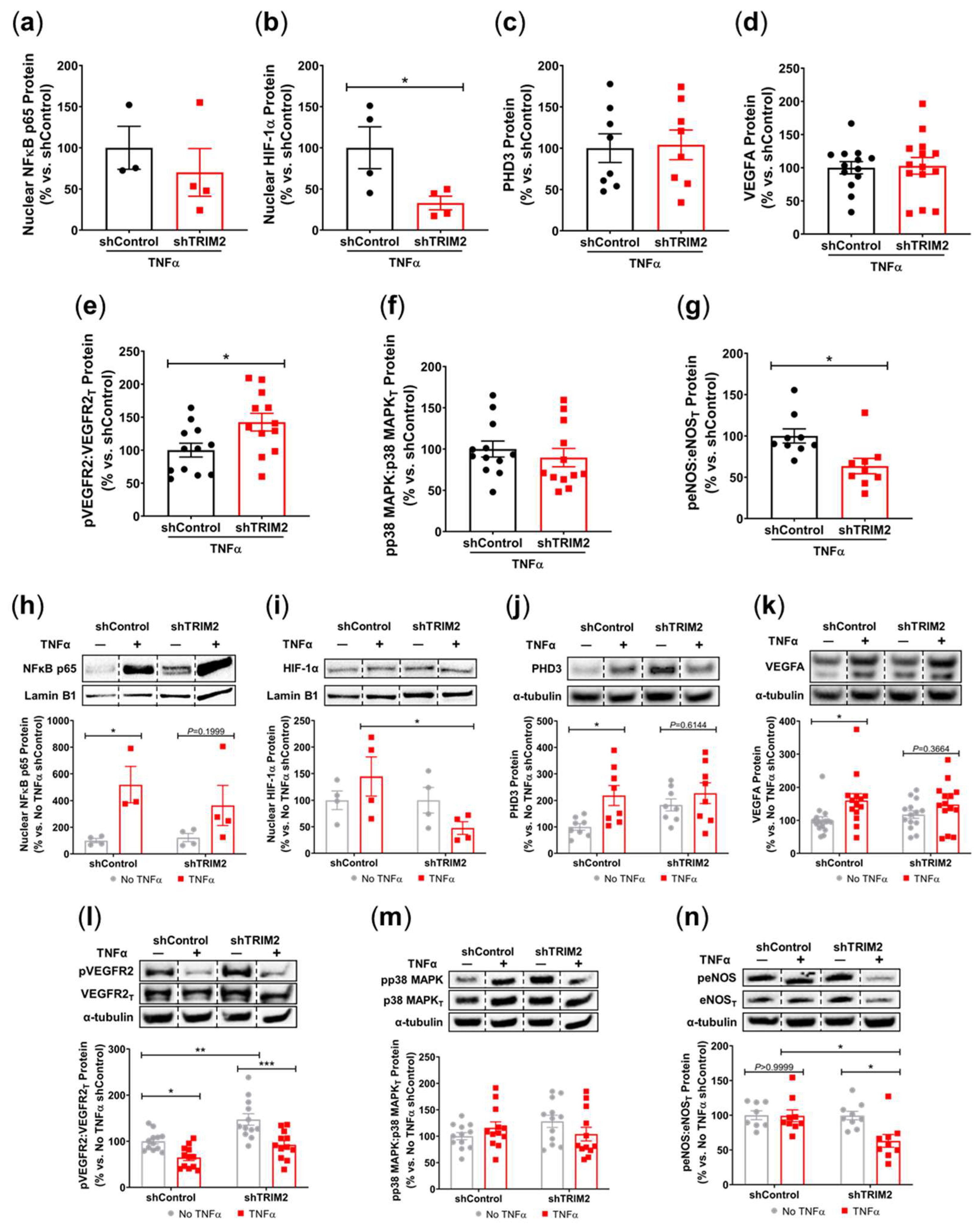 Preprints 99252 g003