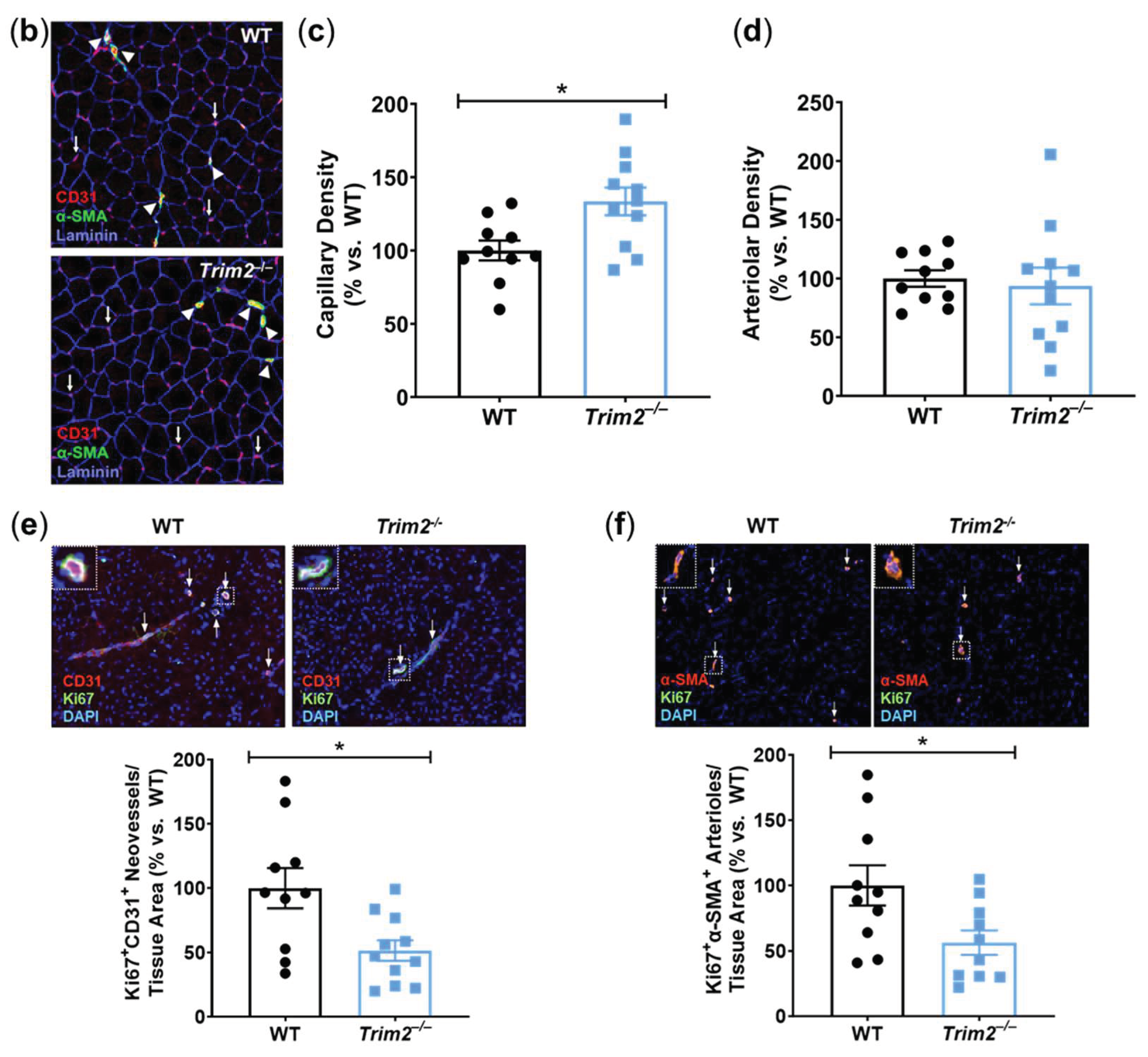 Preprints 99252 g004b