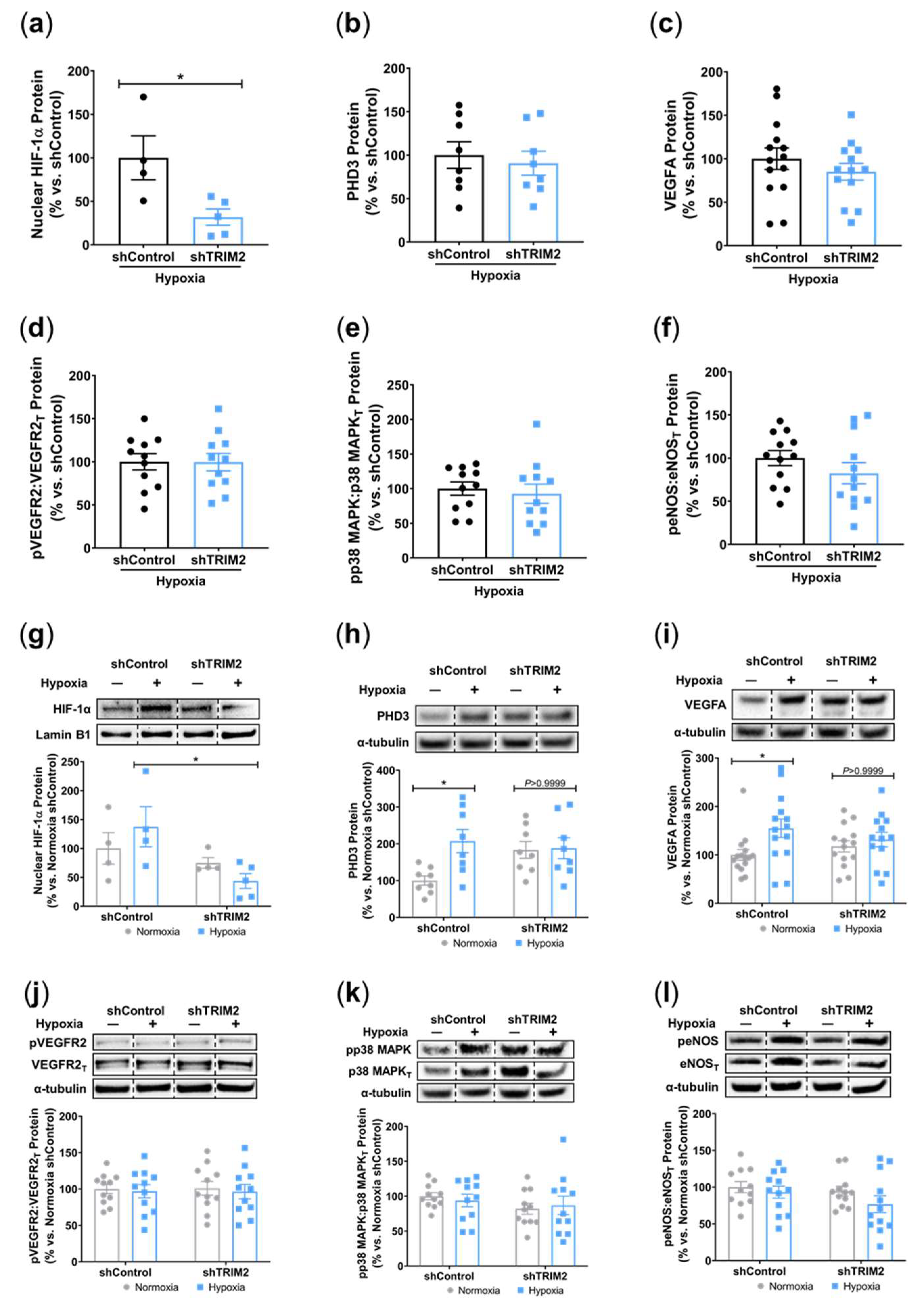 Preprints 99252 g005