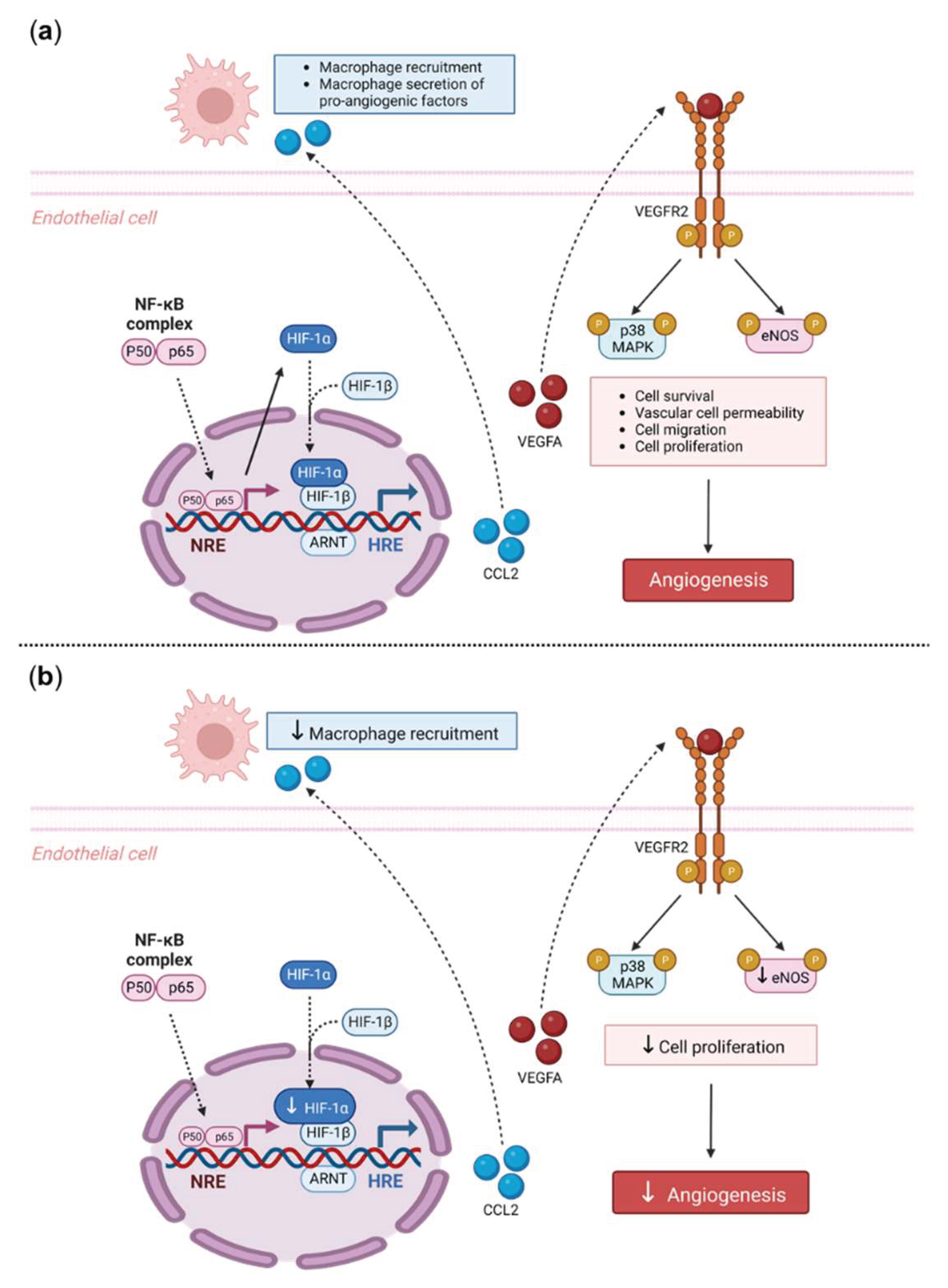 Preprints 99252 g006