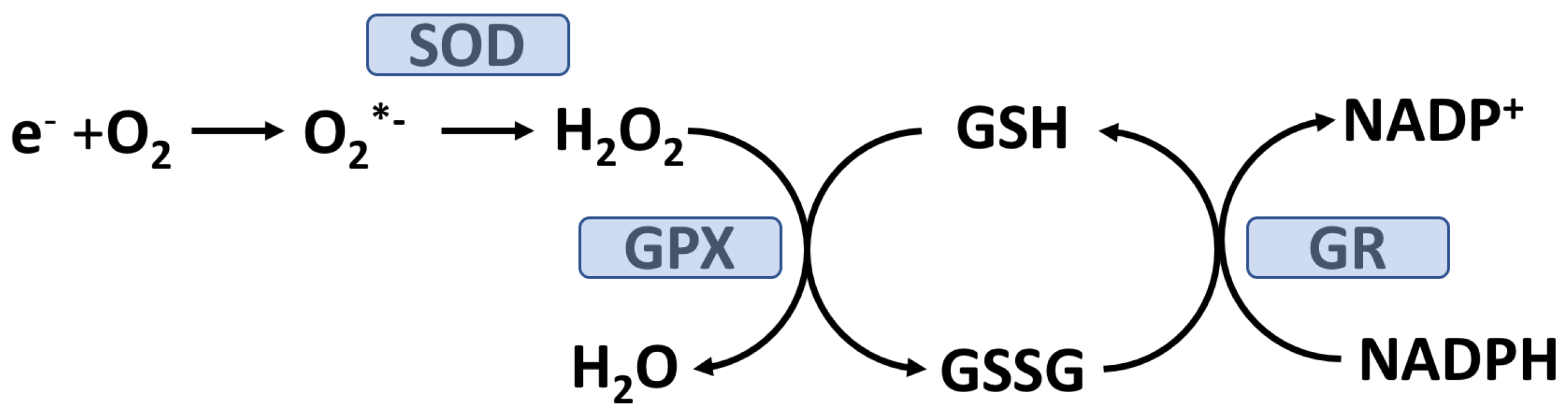 Preprints 67570 g002