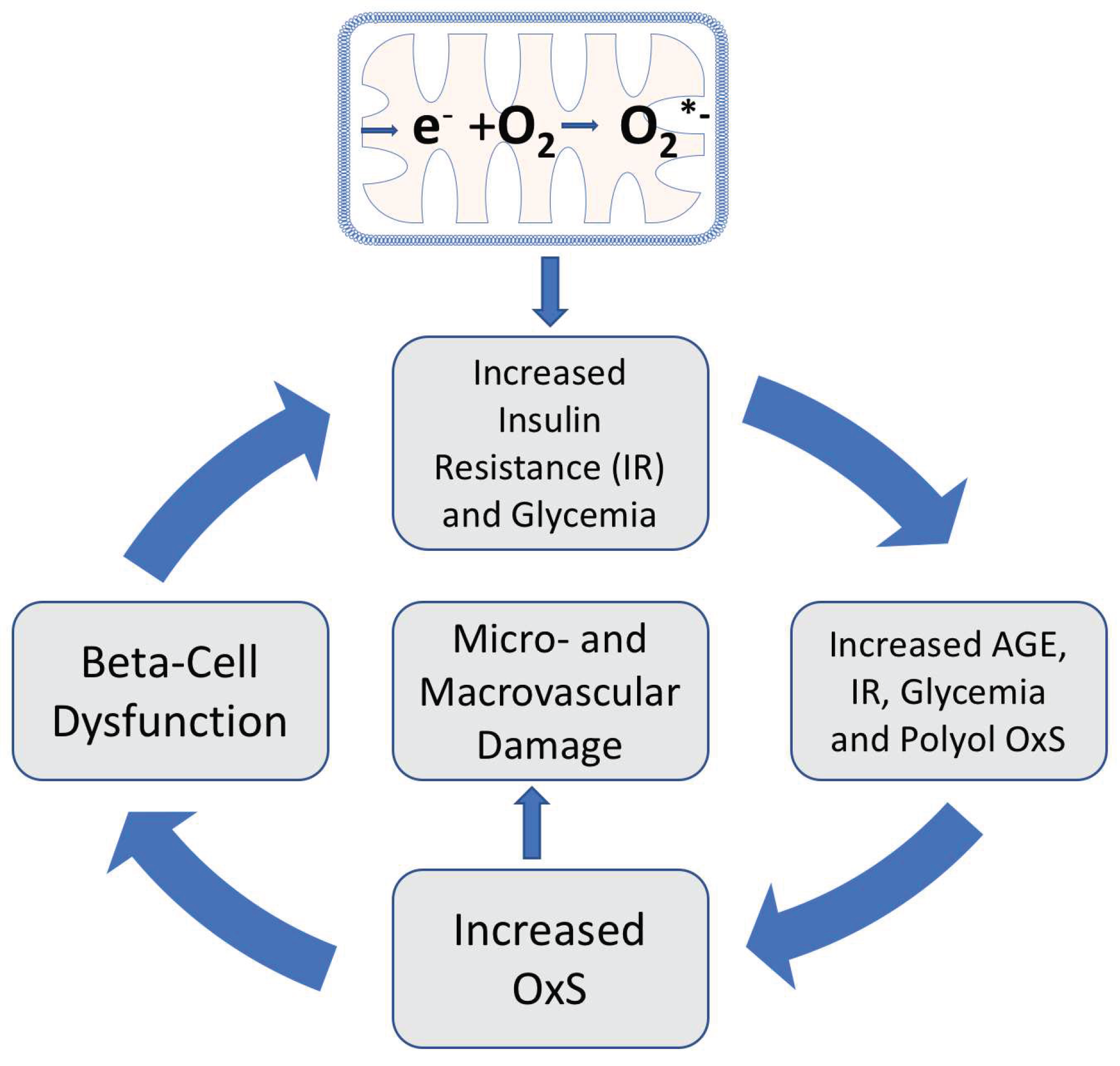 Preprints 67570 g003