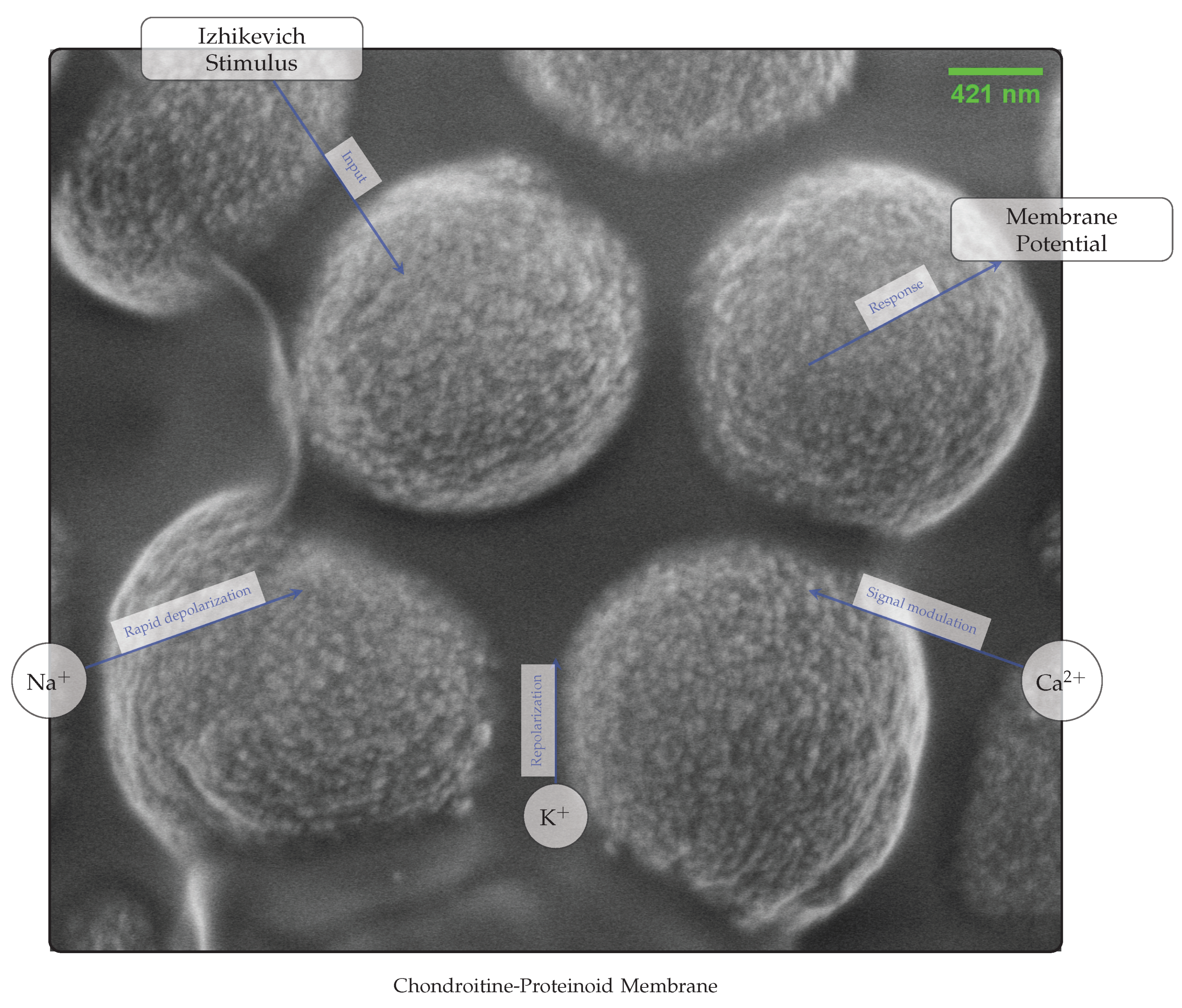 Preprints 117909 g011