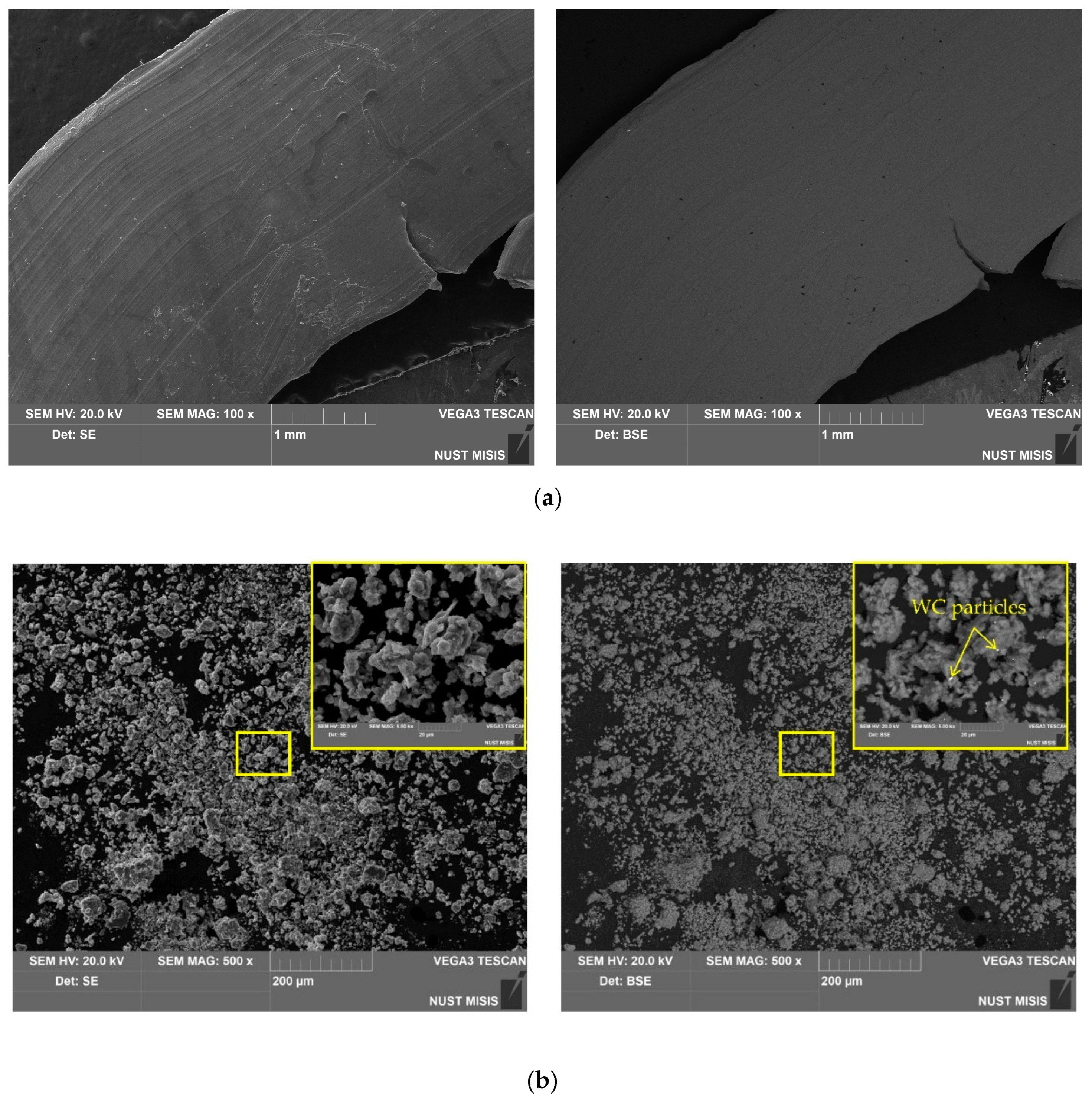 Preprints 96062 g004a