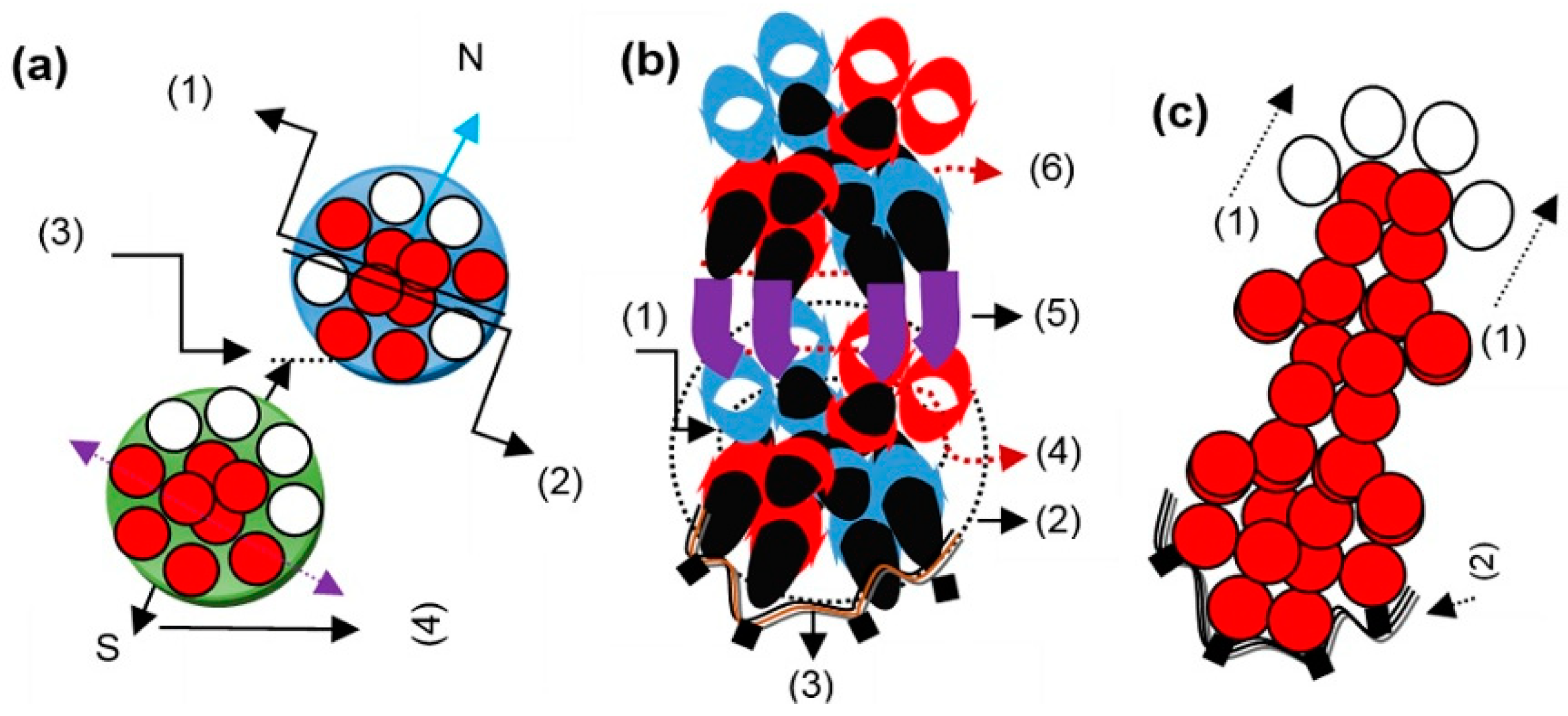 Preprints 66934 g004