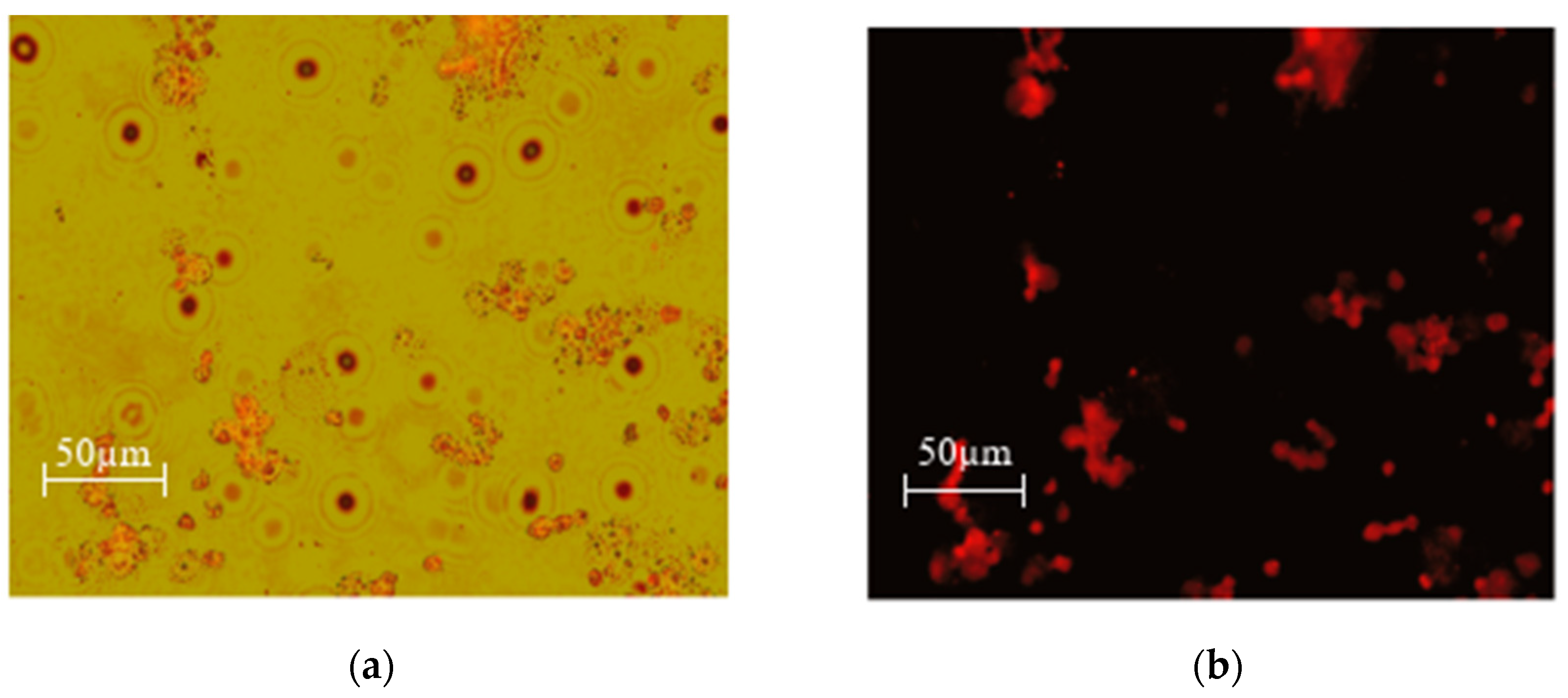 Preprints 115910 g013