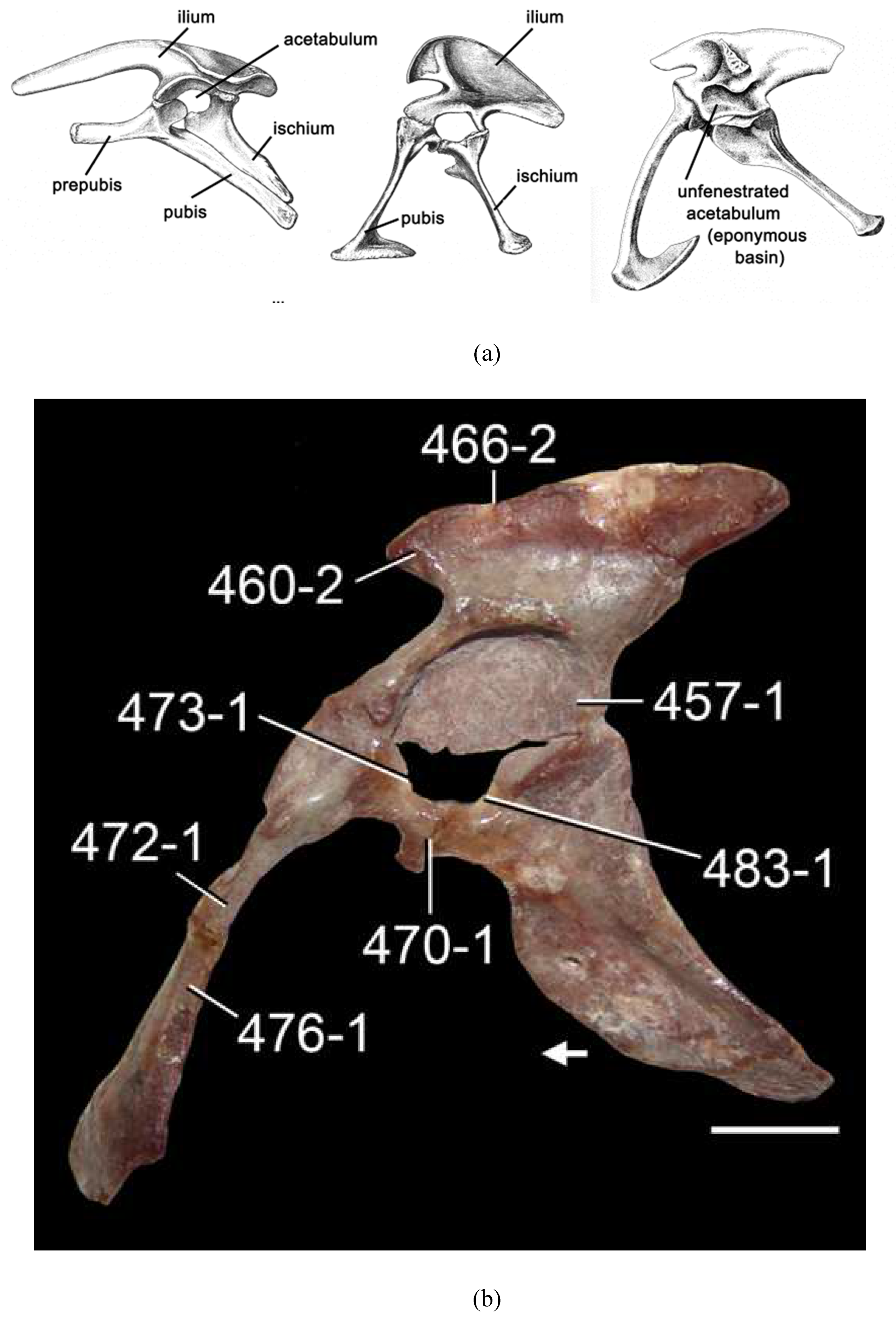 Preprints 89526 g003