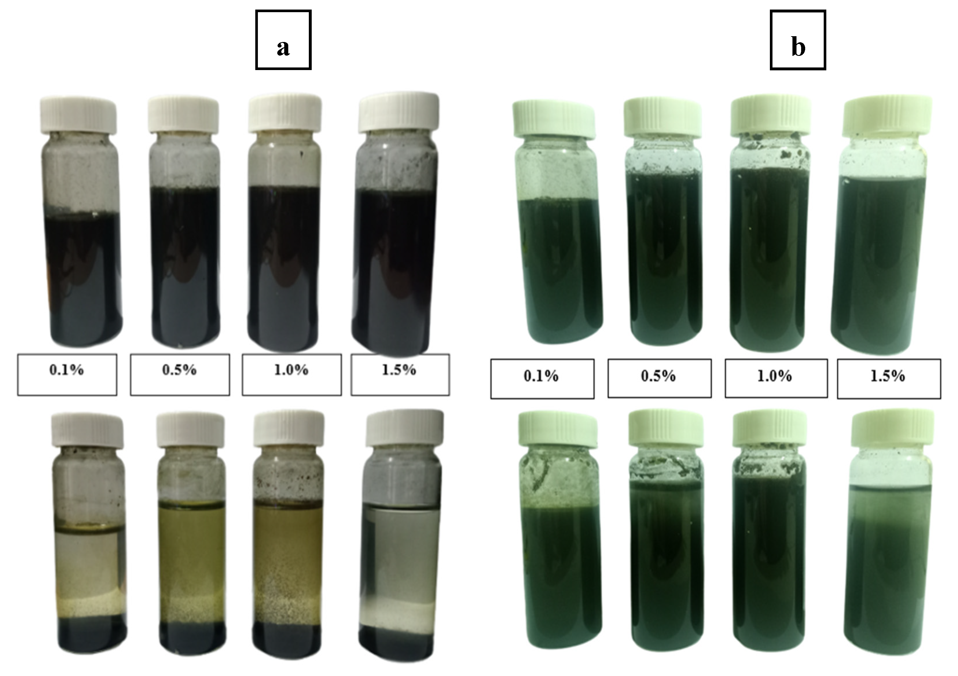 Preprints 80136 g013