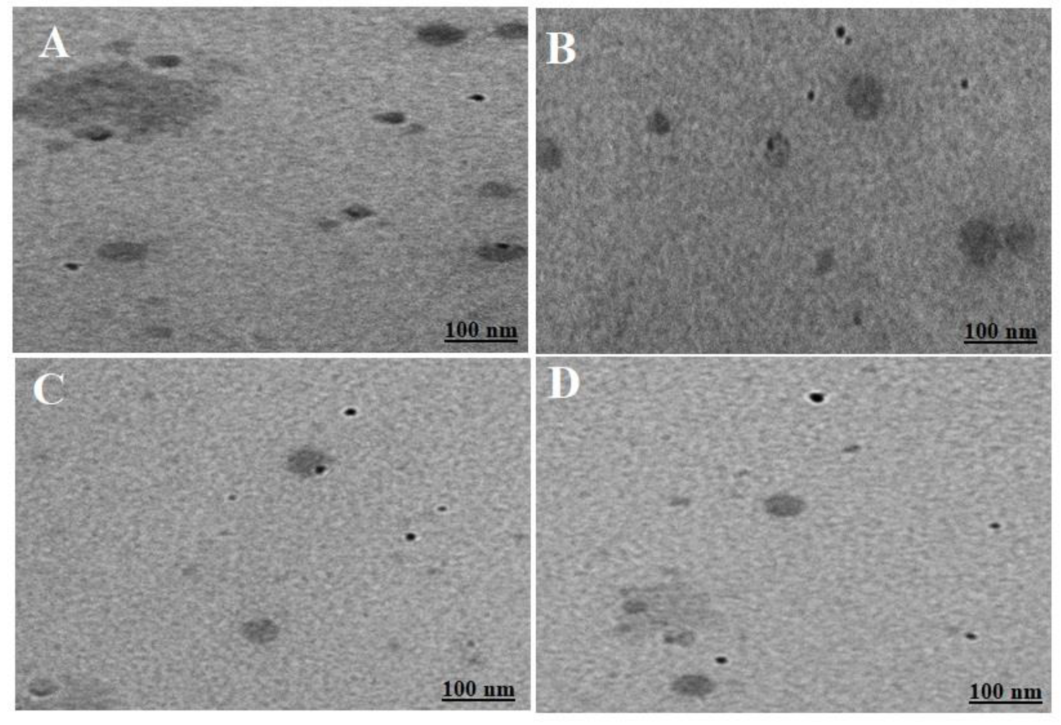 Preprints 76105 g006