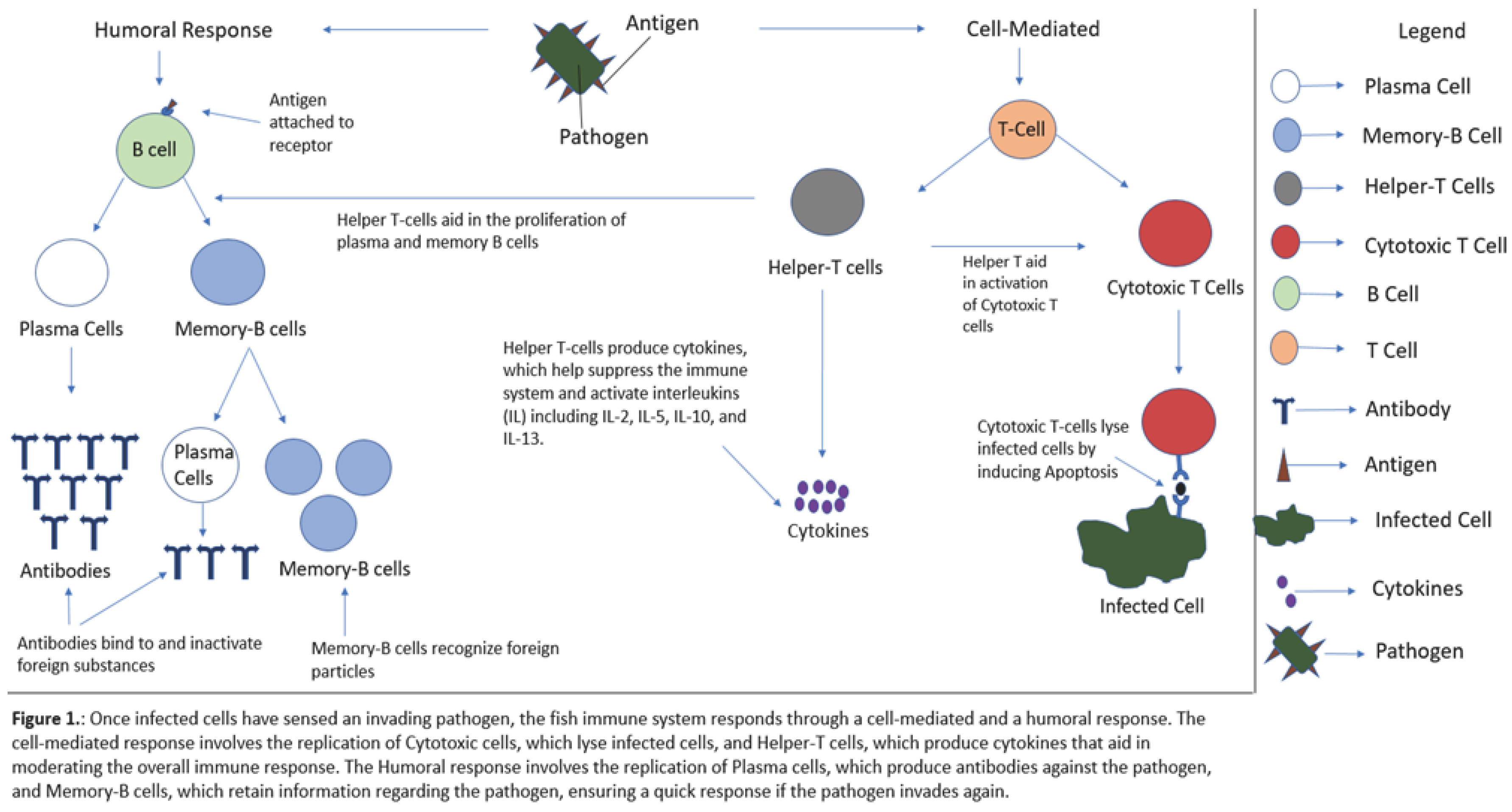 Preprints 99681 g001