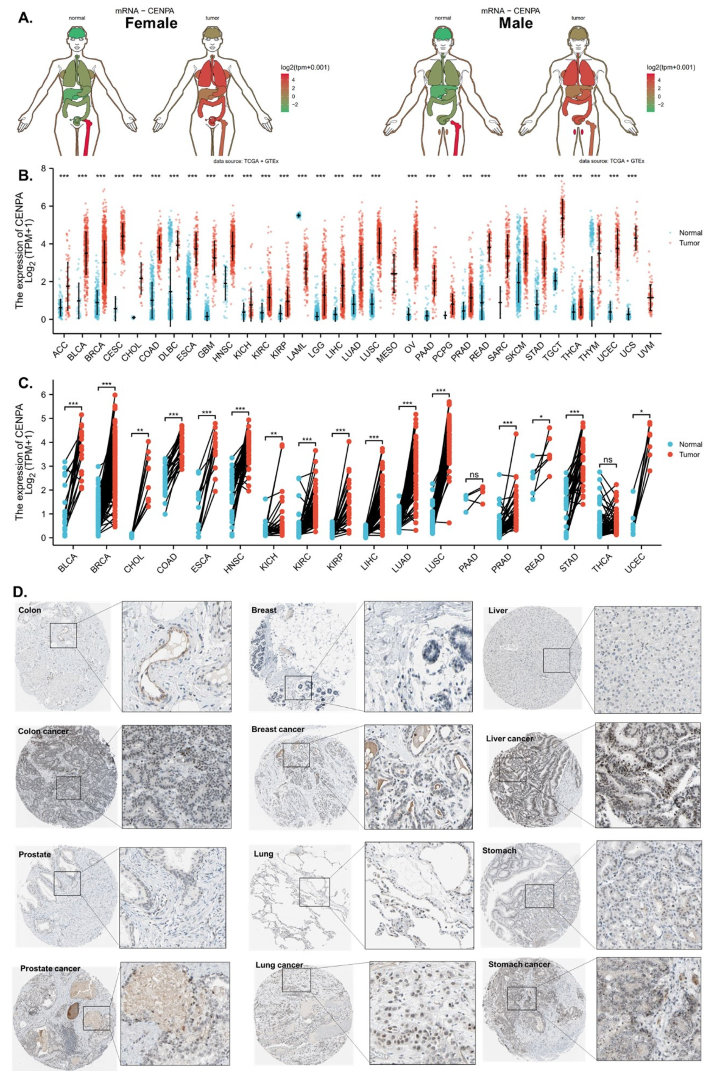 Preprints 69144 g001