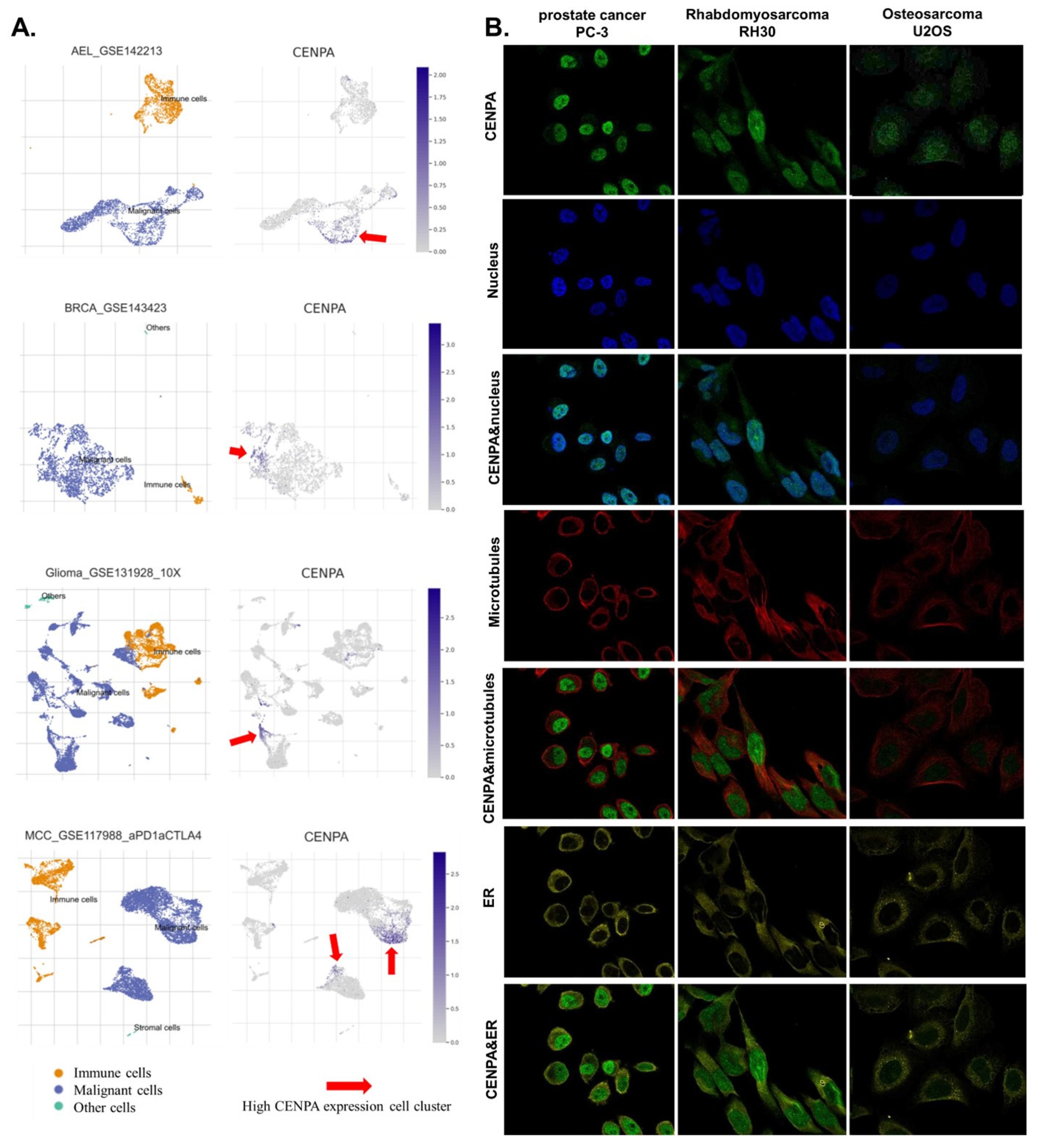 Preprints 69144 g002