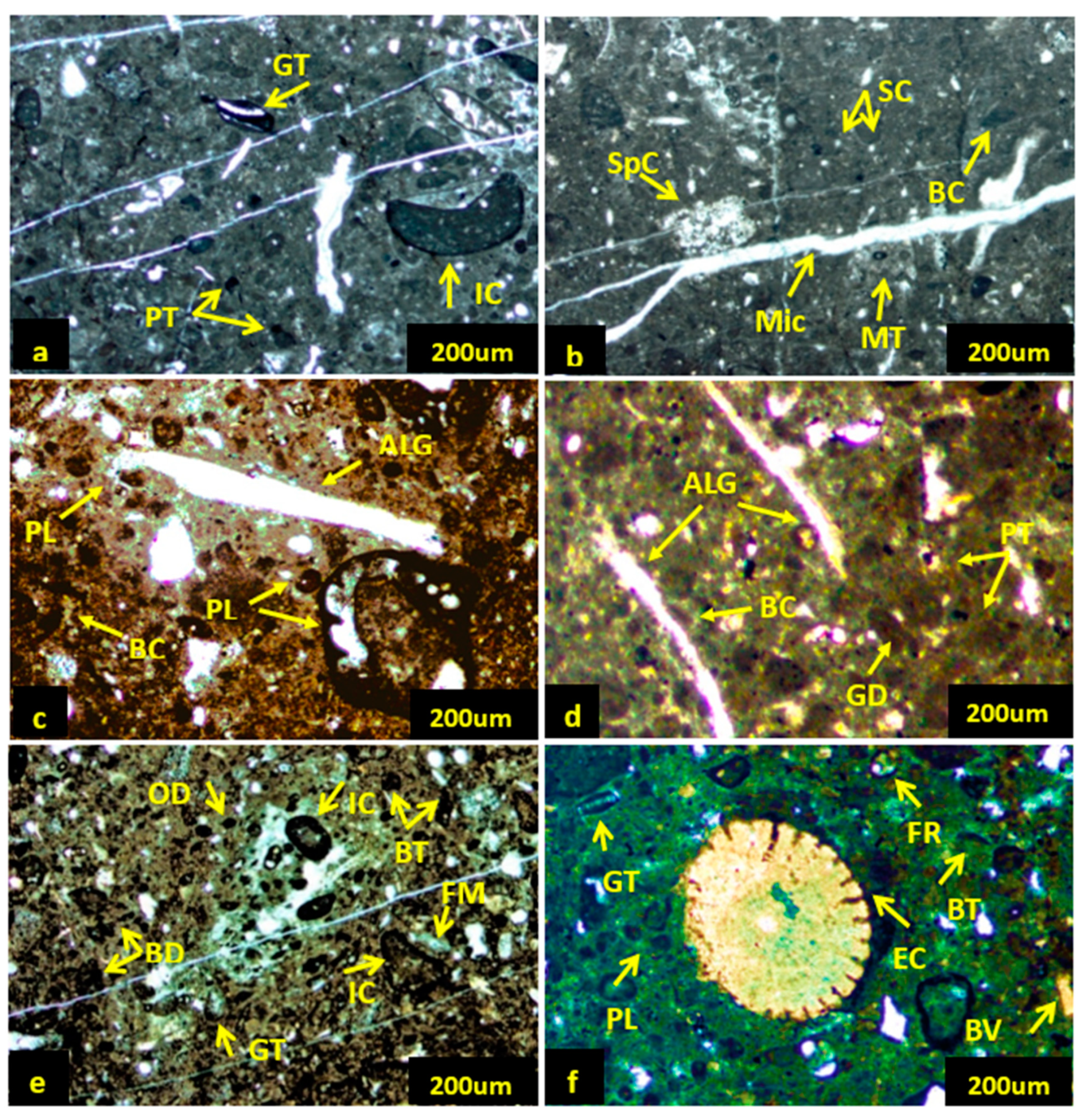 Preprints 88001 g004