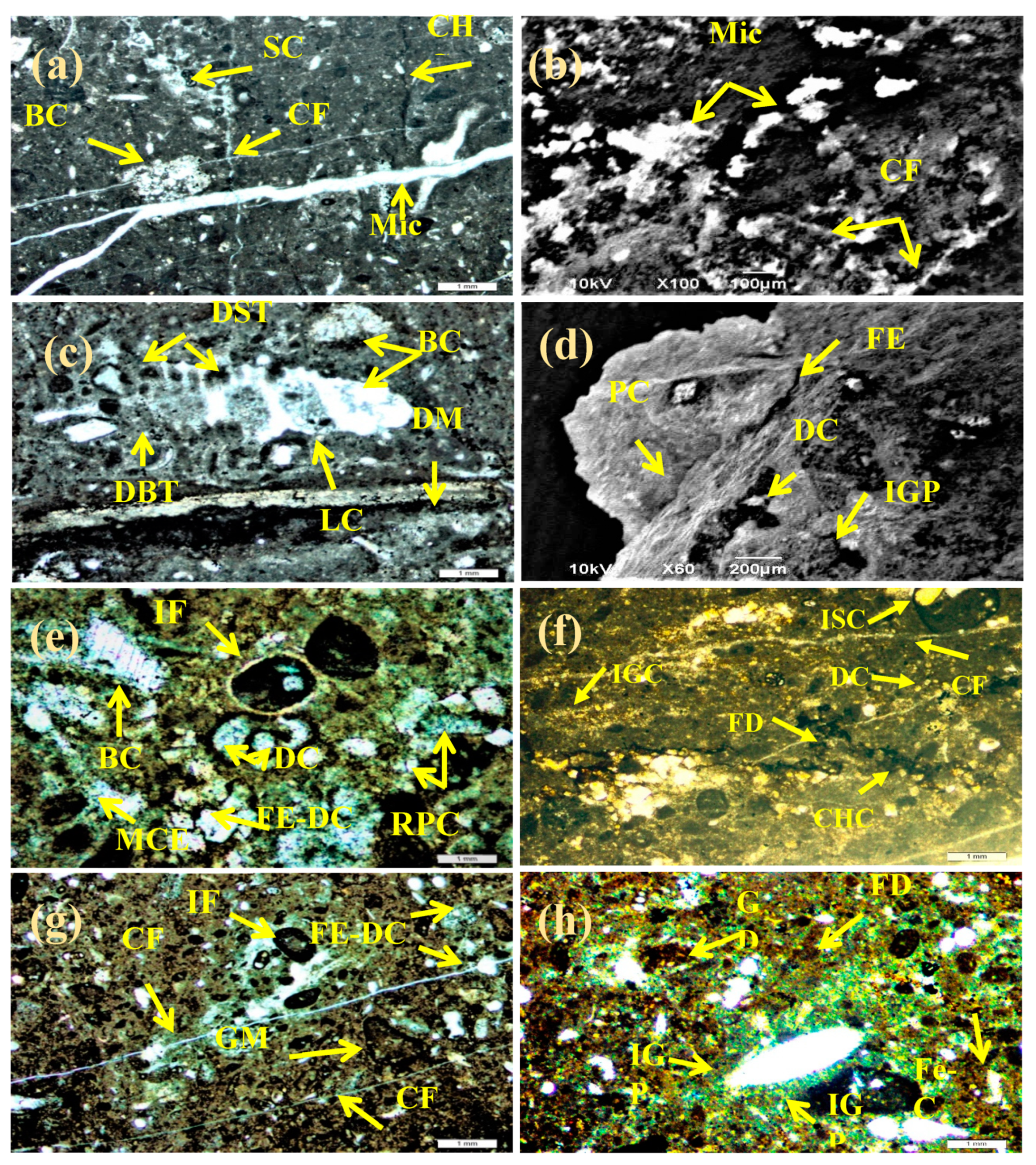 Preprints 88001 g005