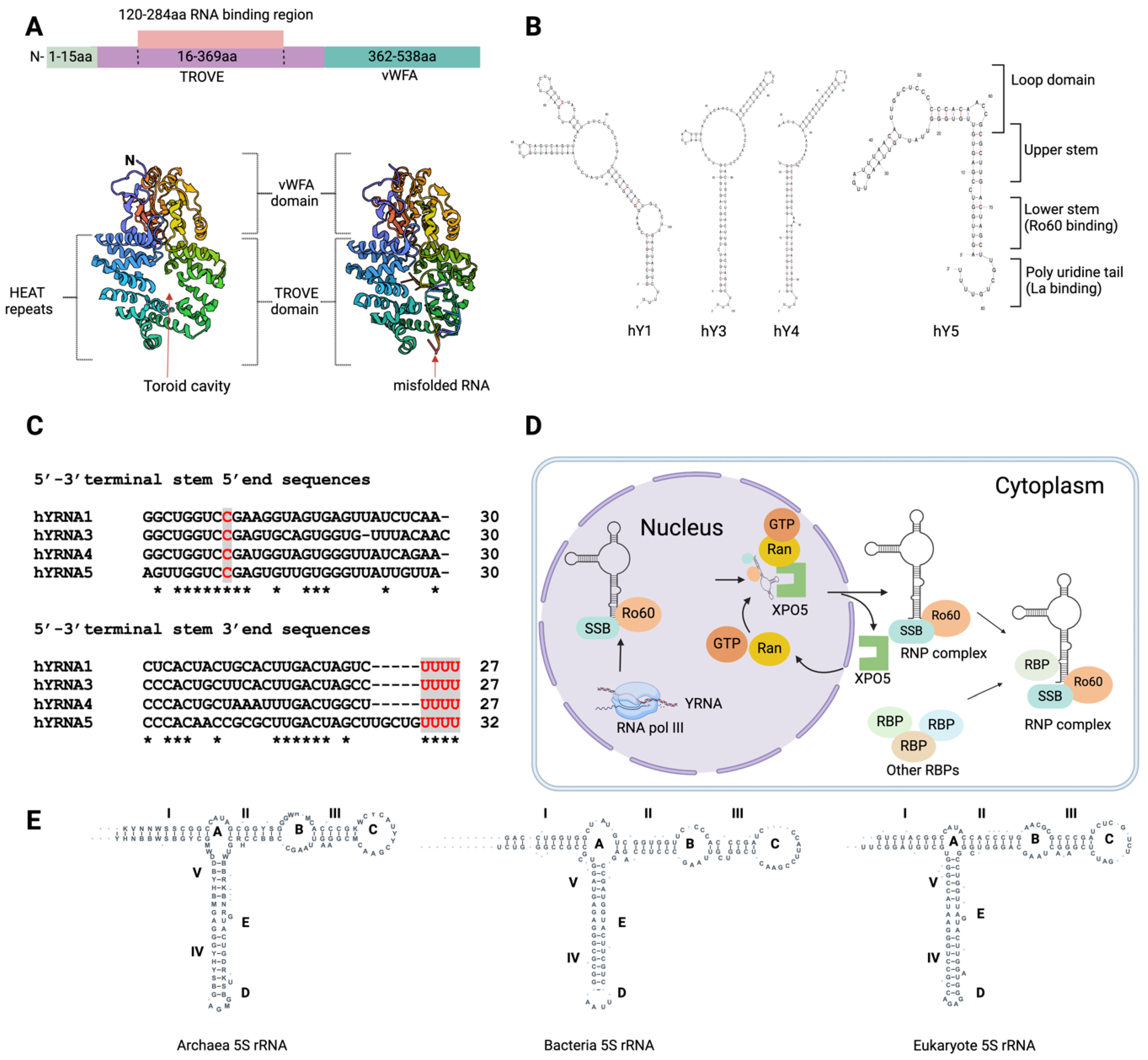 Preprints 109104 g001