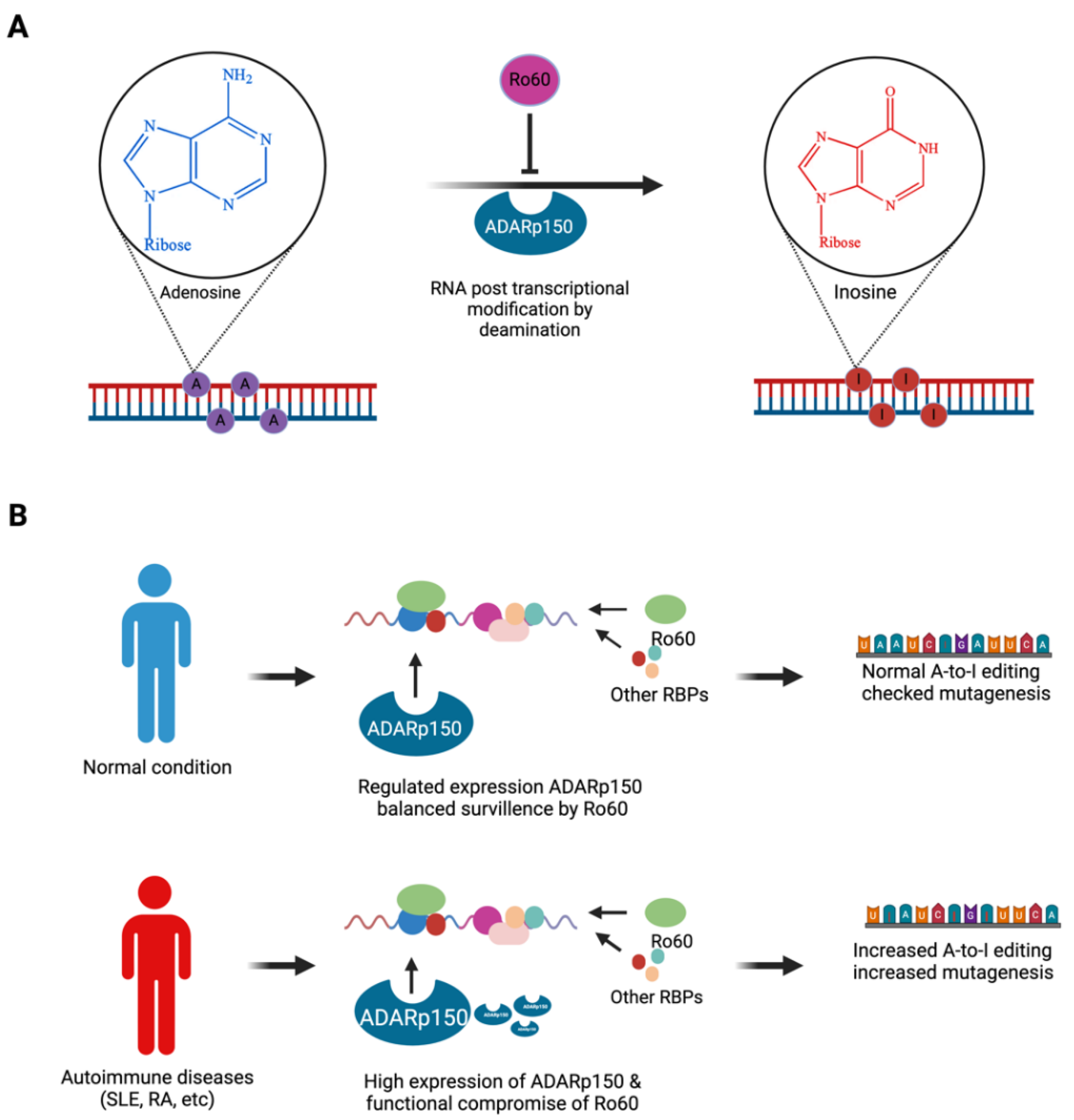 Preprints 109104 g002