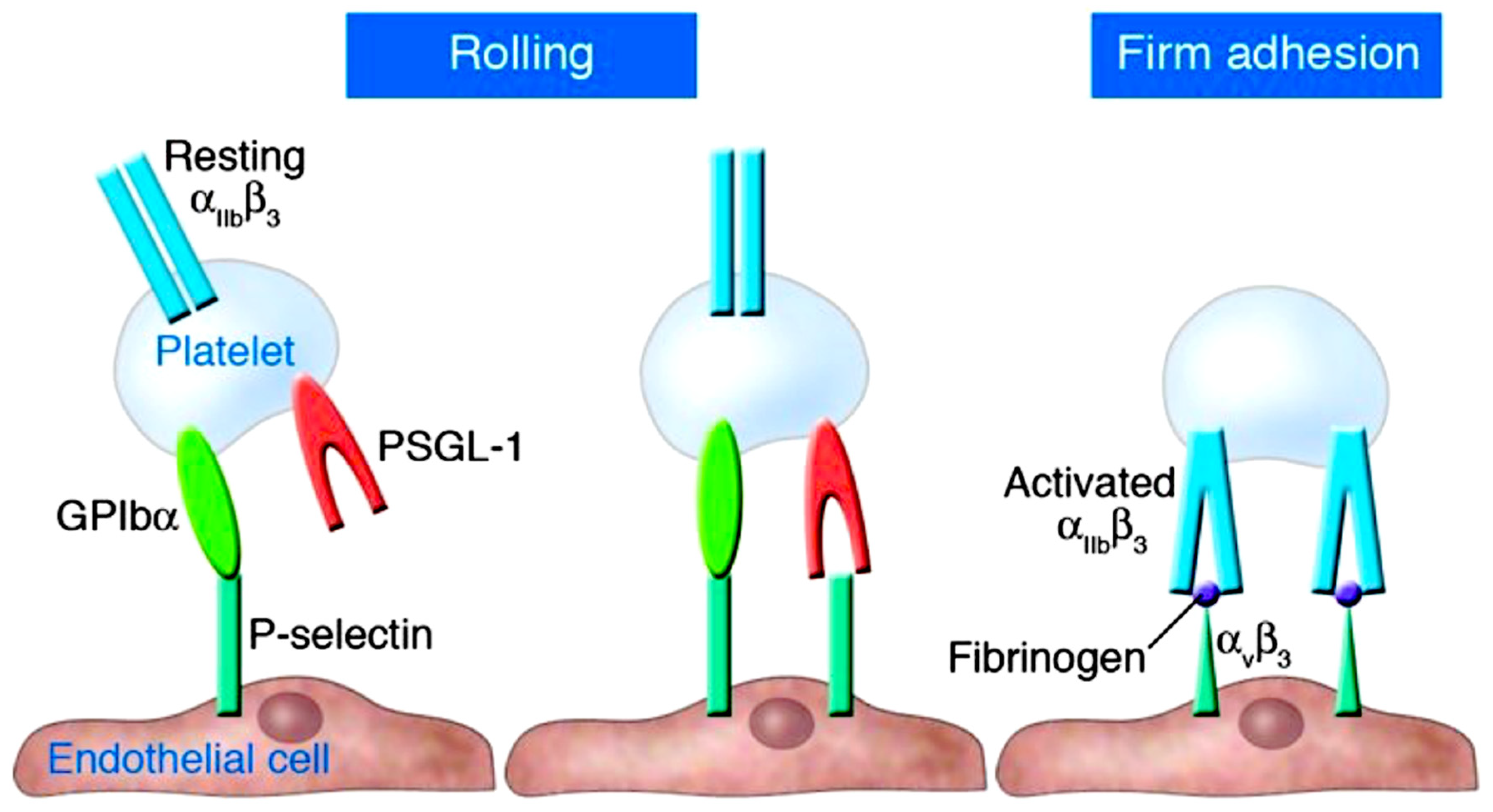 Preprints 89546 g001