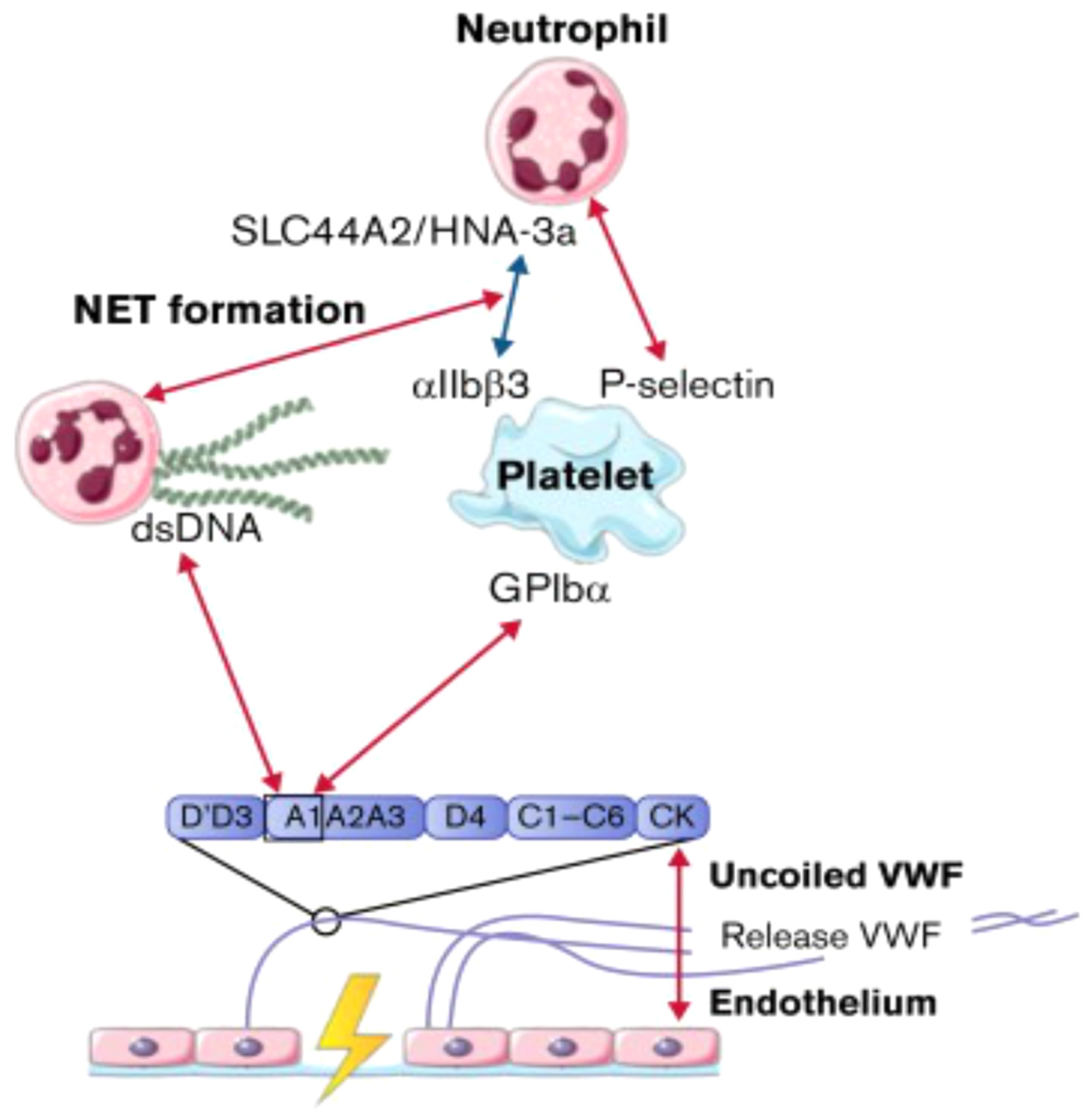 Preprints 89546 g003