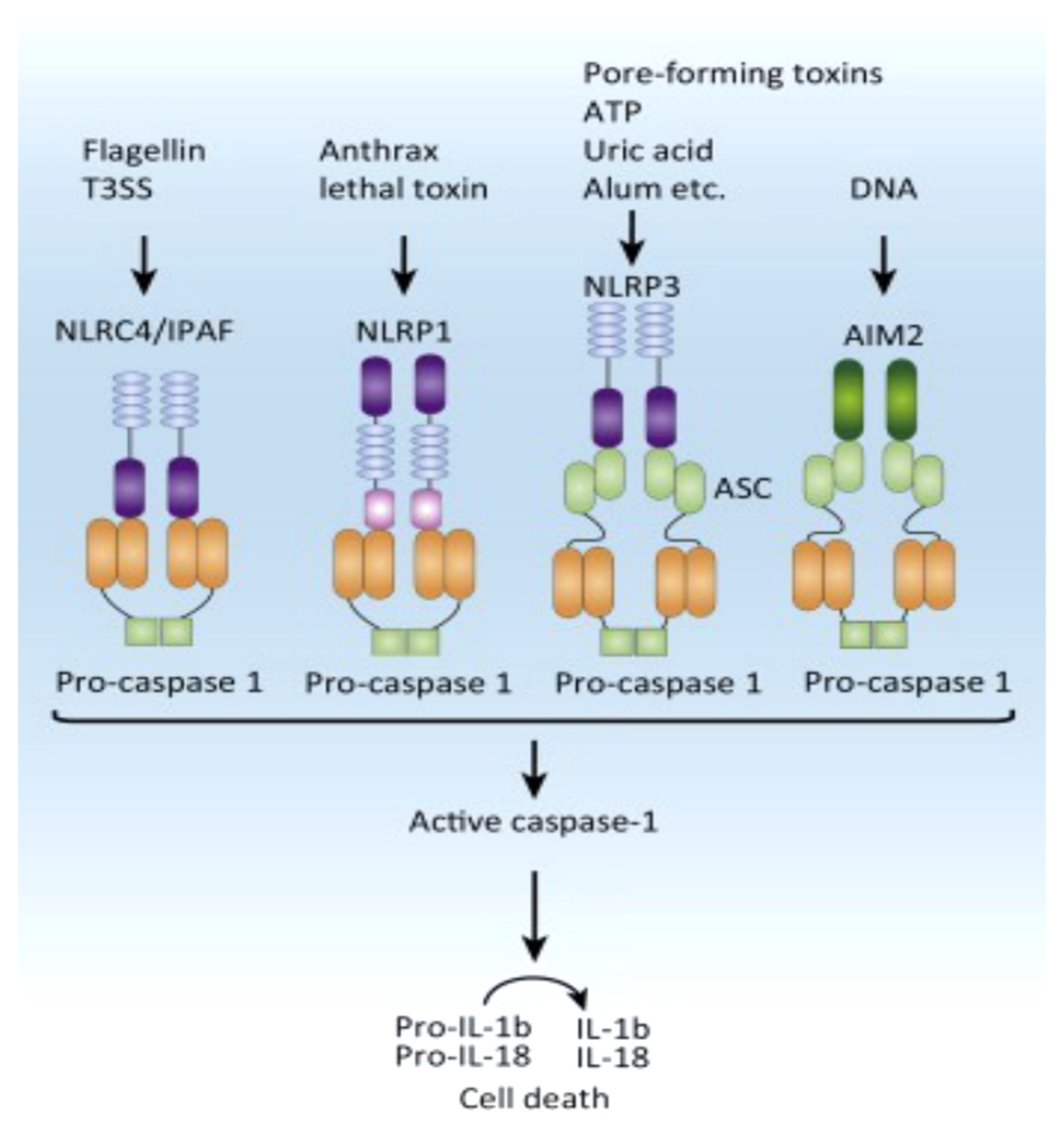 Preprints 89546 g004