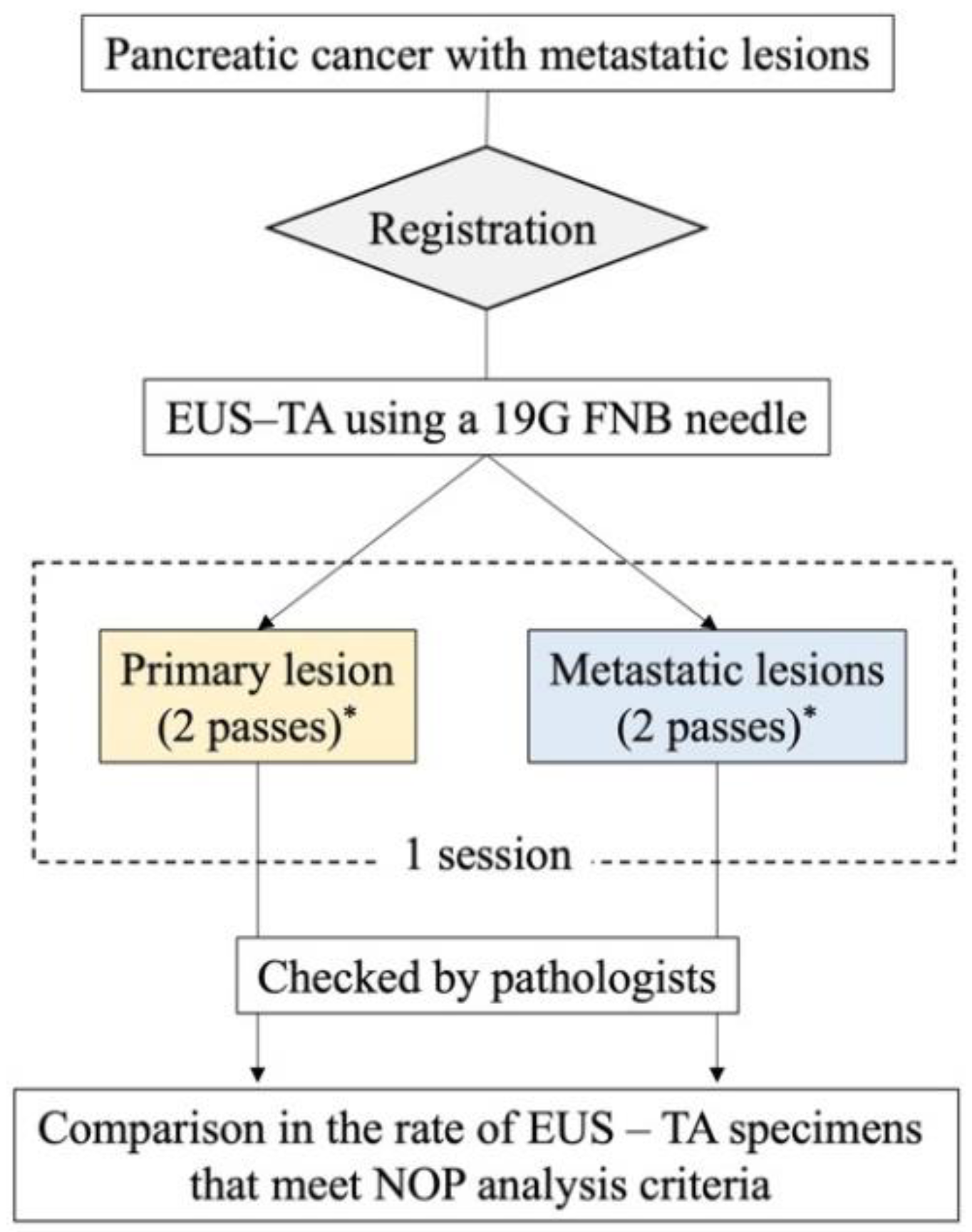 Preprints 109773 g002