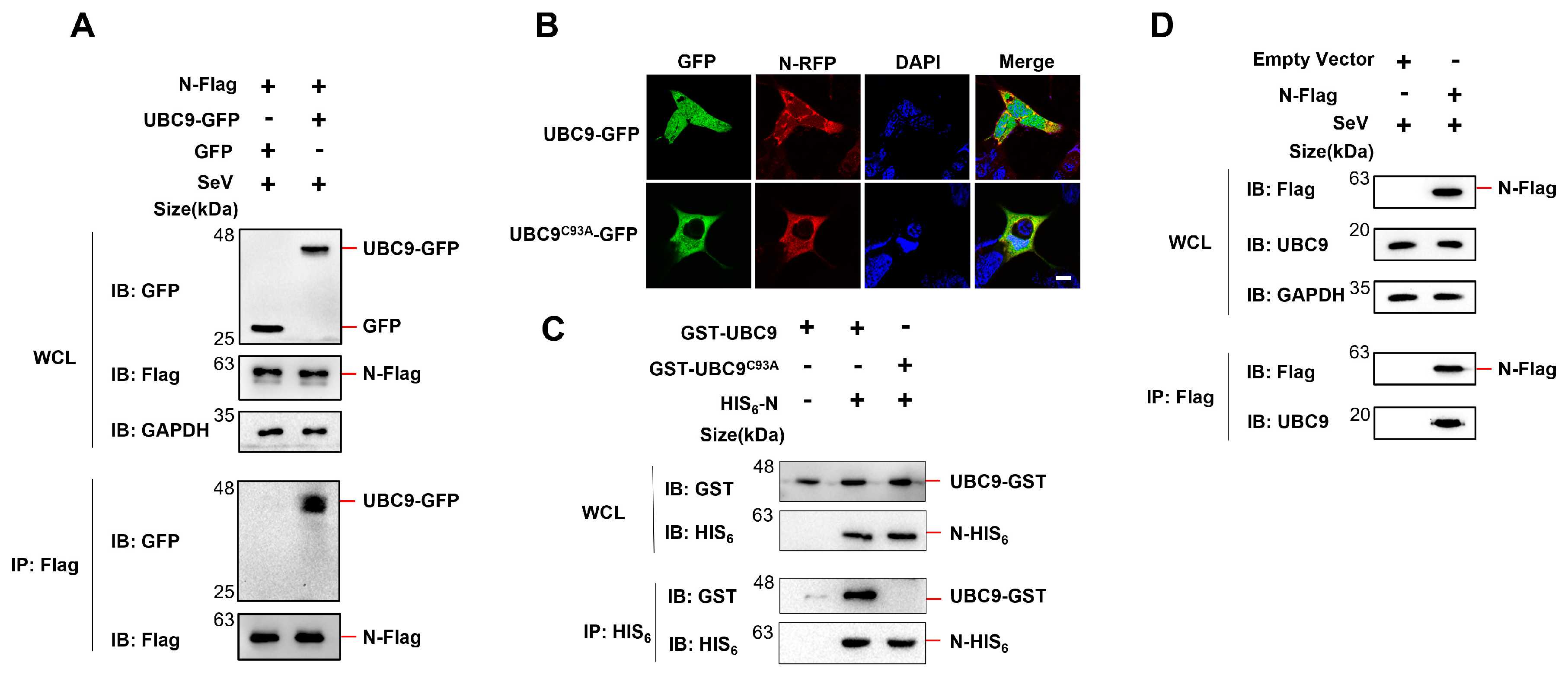 Preprints 88586 g001