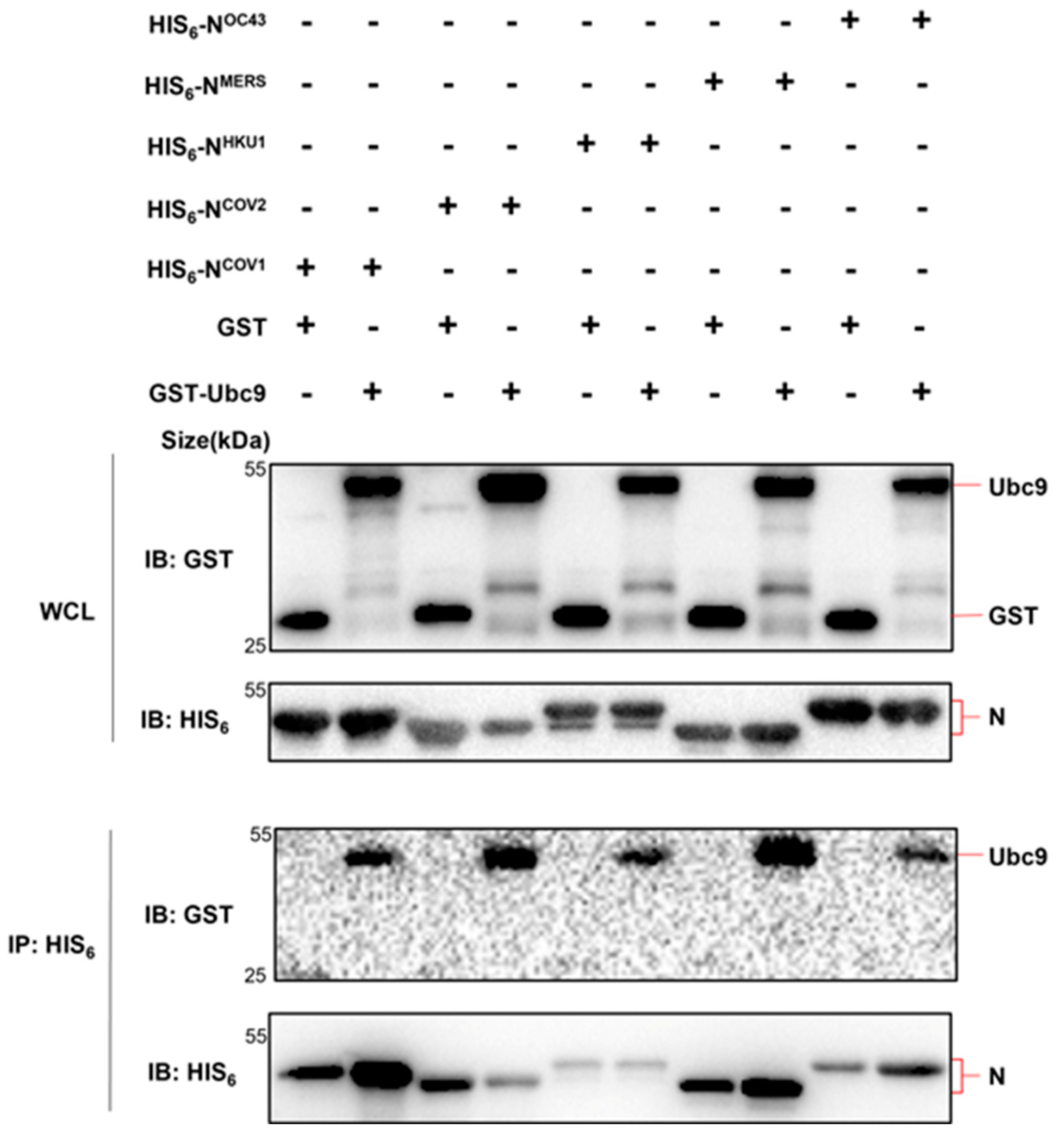 Preprints 88586 g002