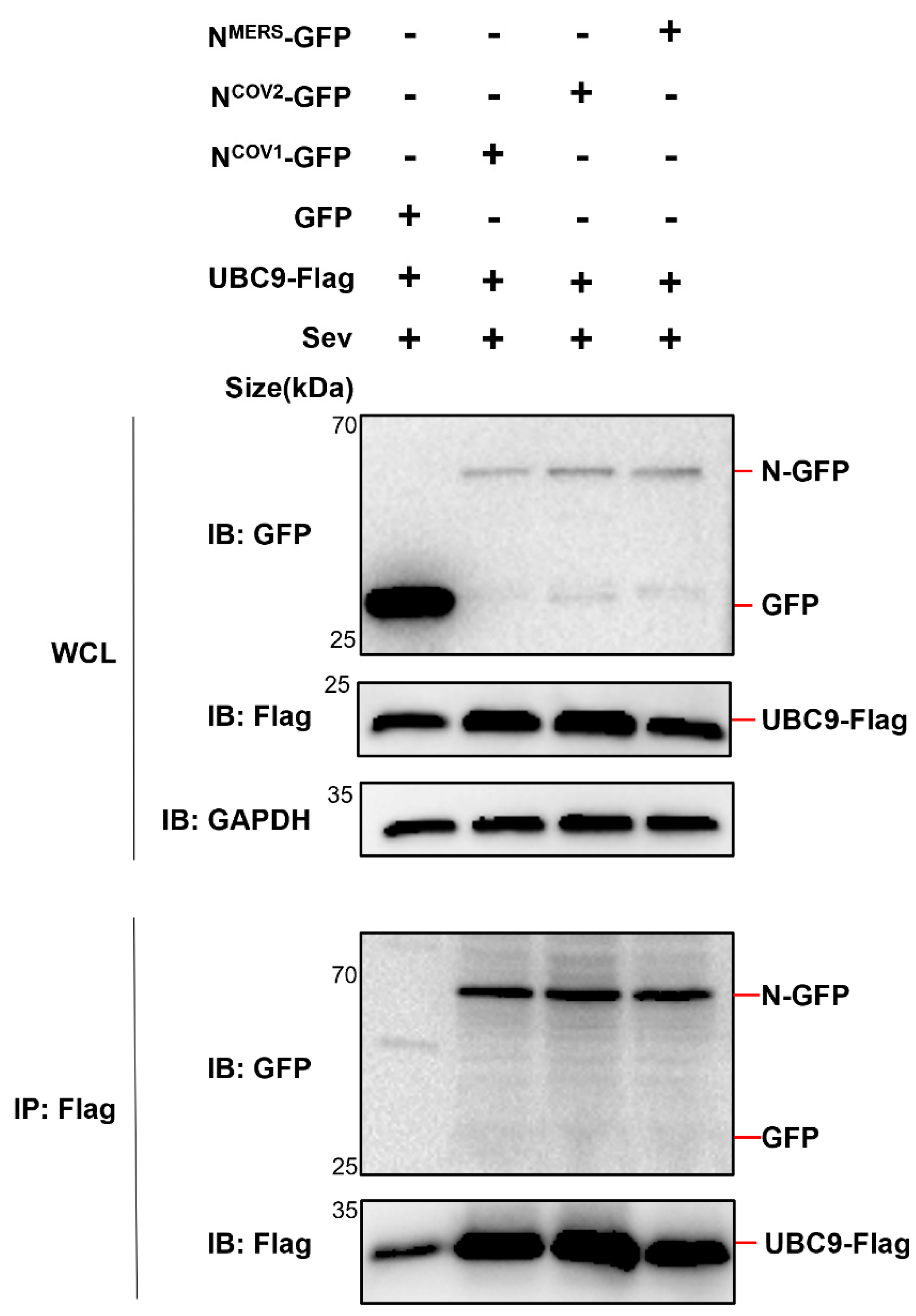 Preprints 88586 g003