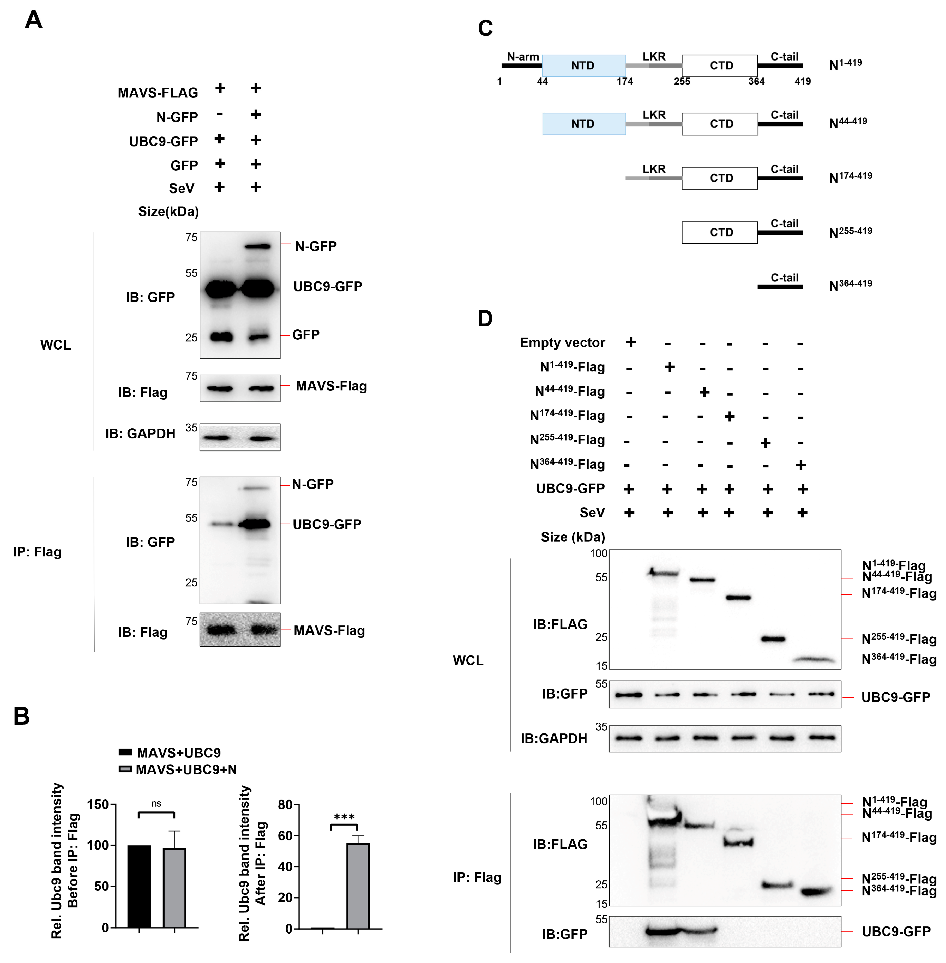 Preprints 88586 g004