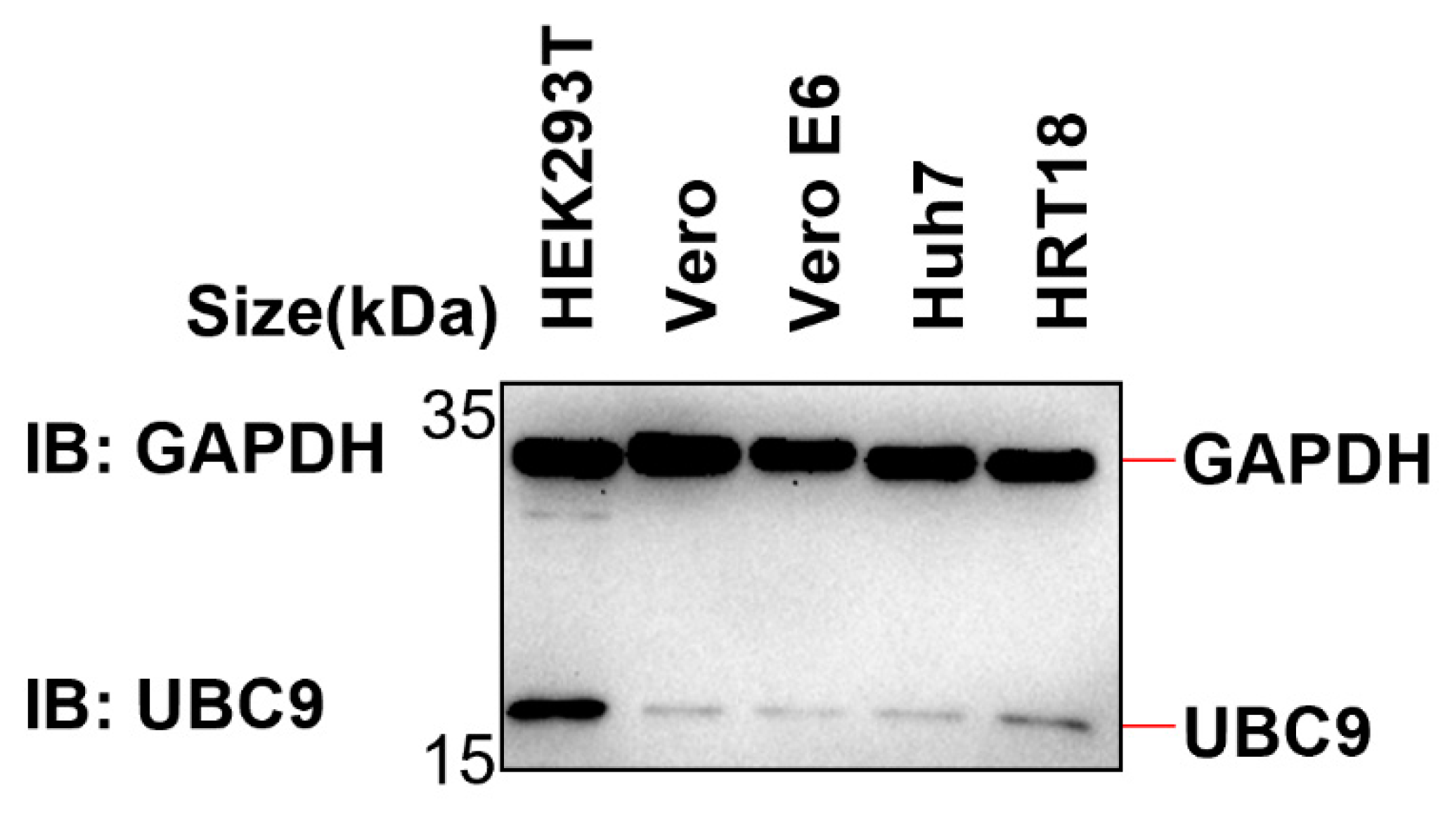 Preprints 88586 g005