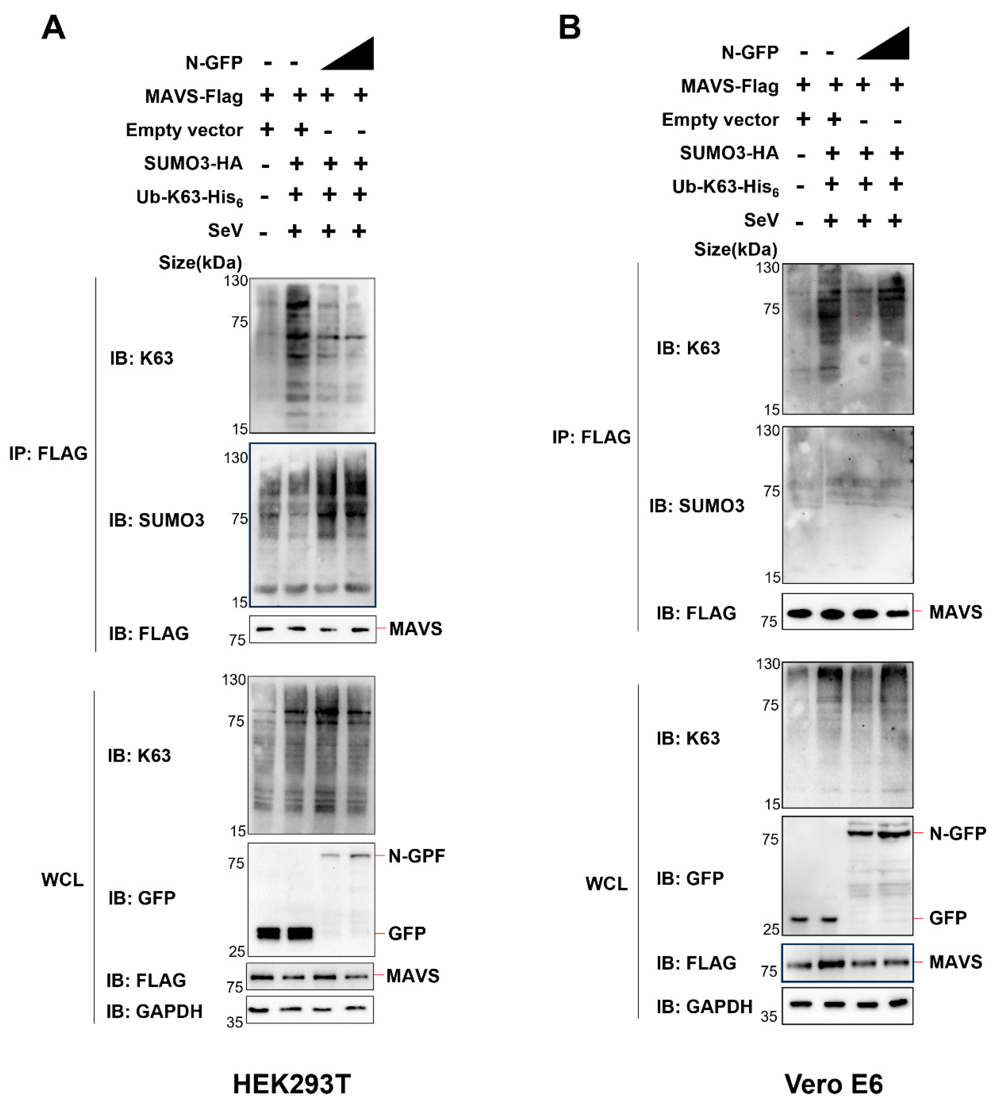 Preprints 88586 g006