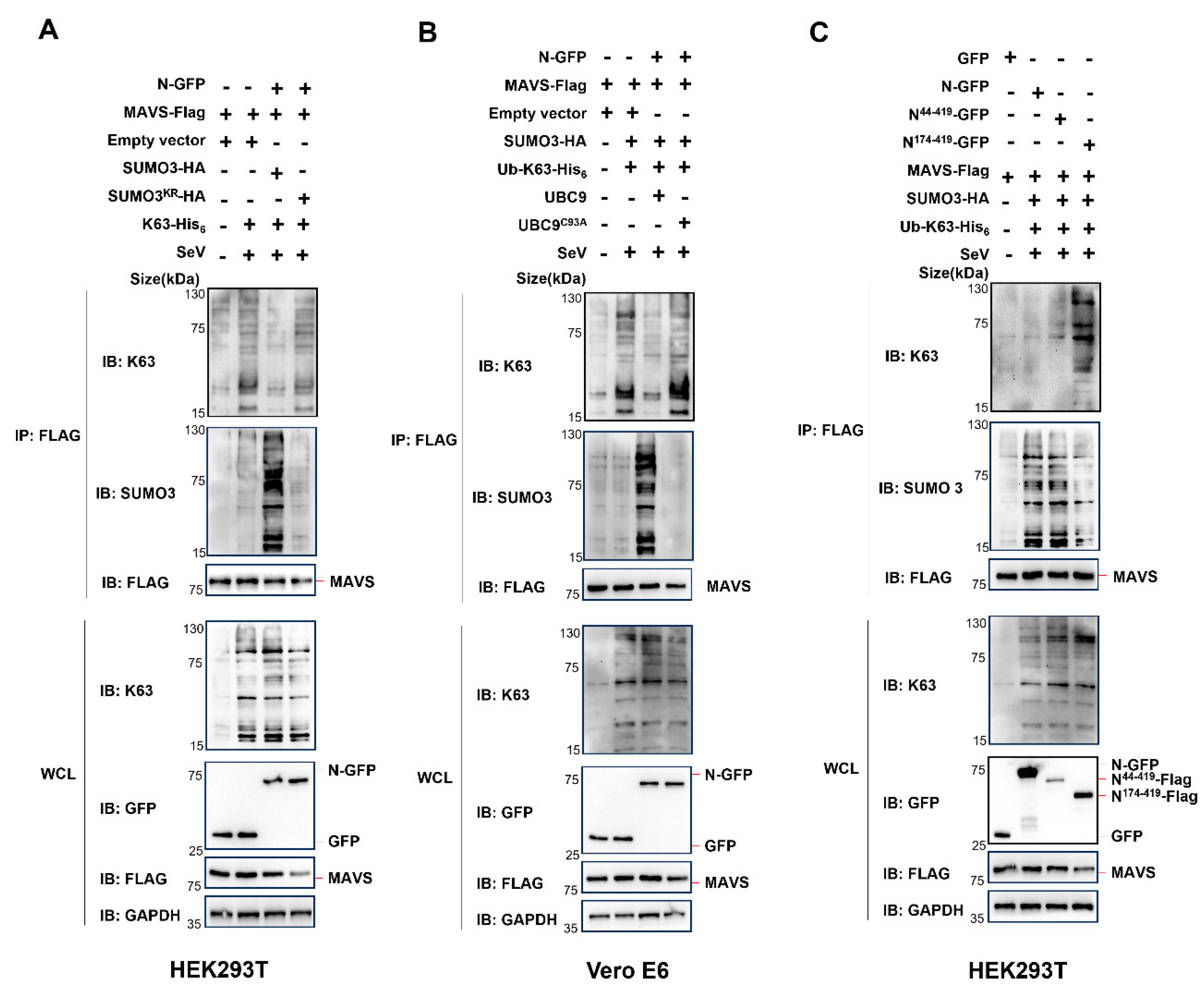 Preprints 88586 g007