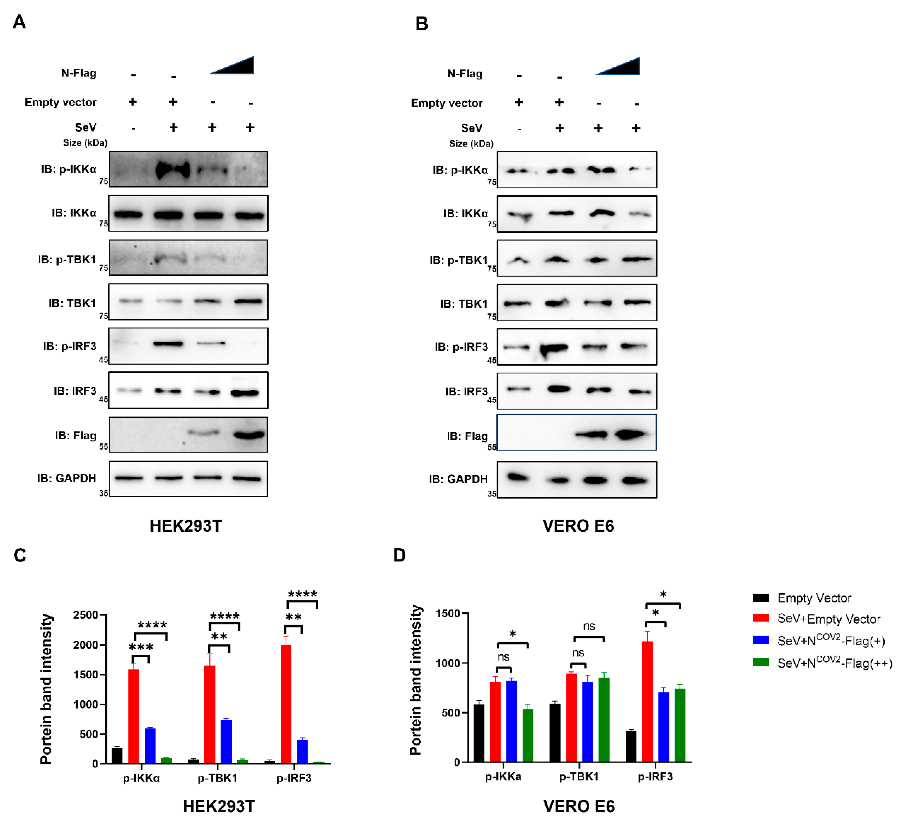 Preprints 88586 g008