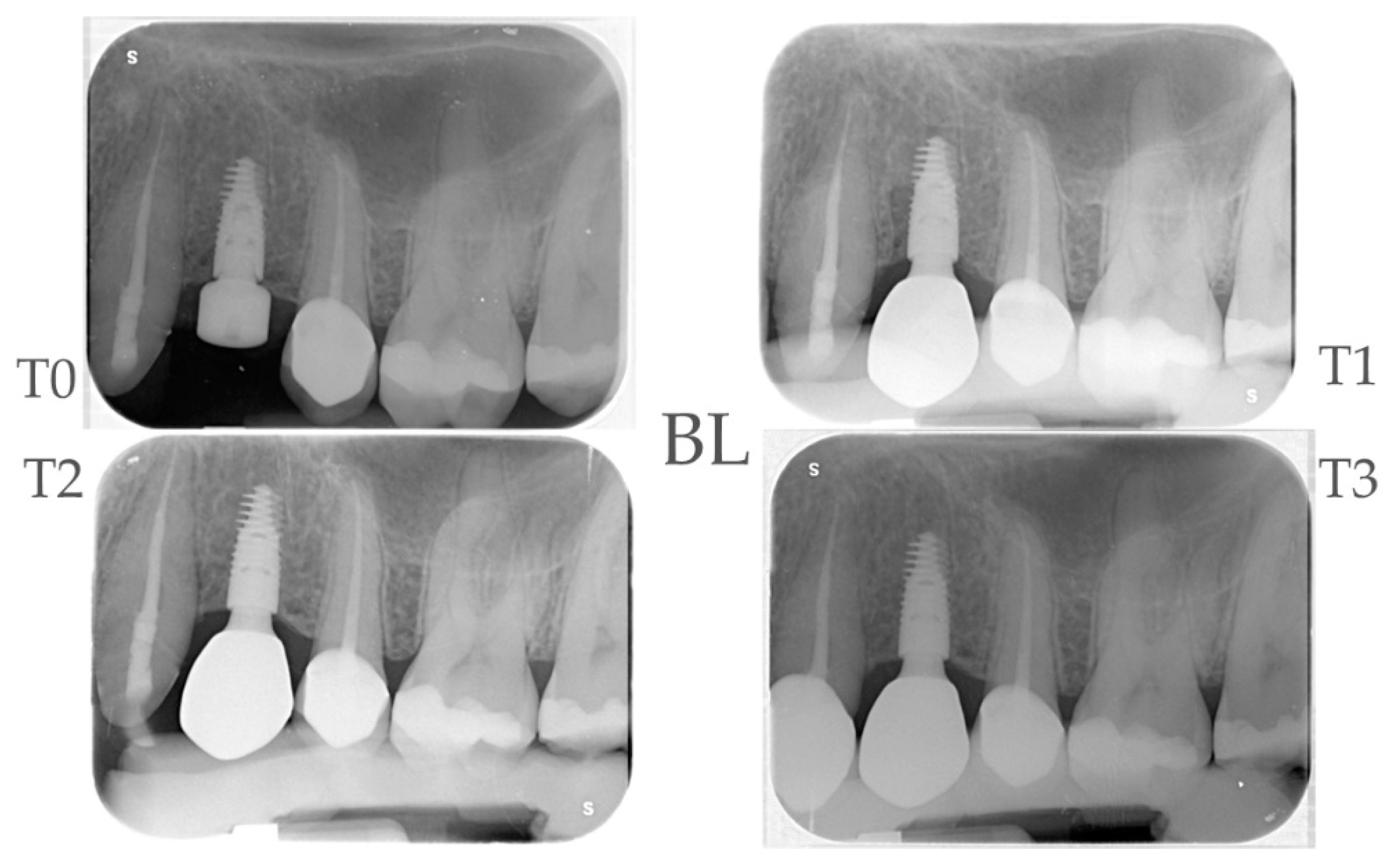 Preprints 100035 g013