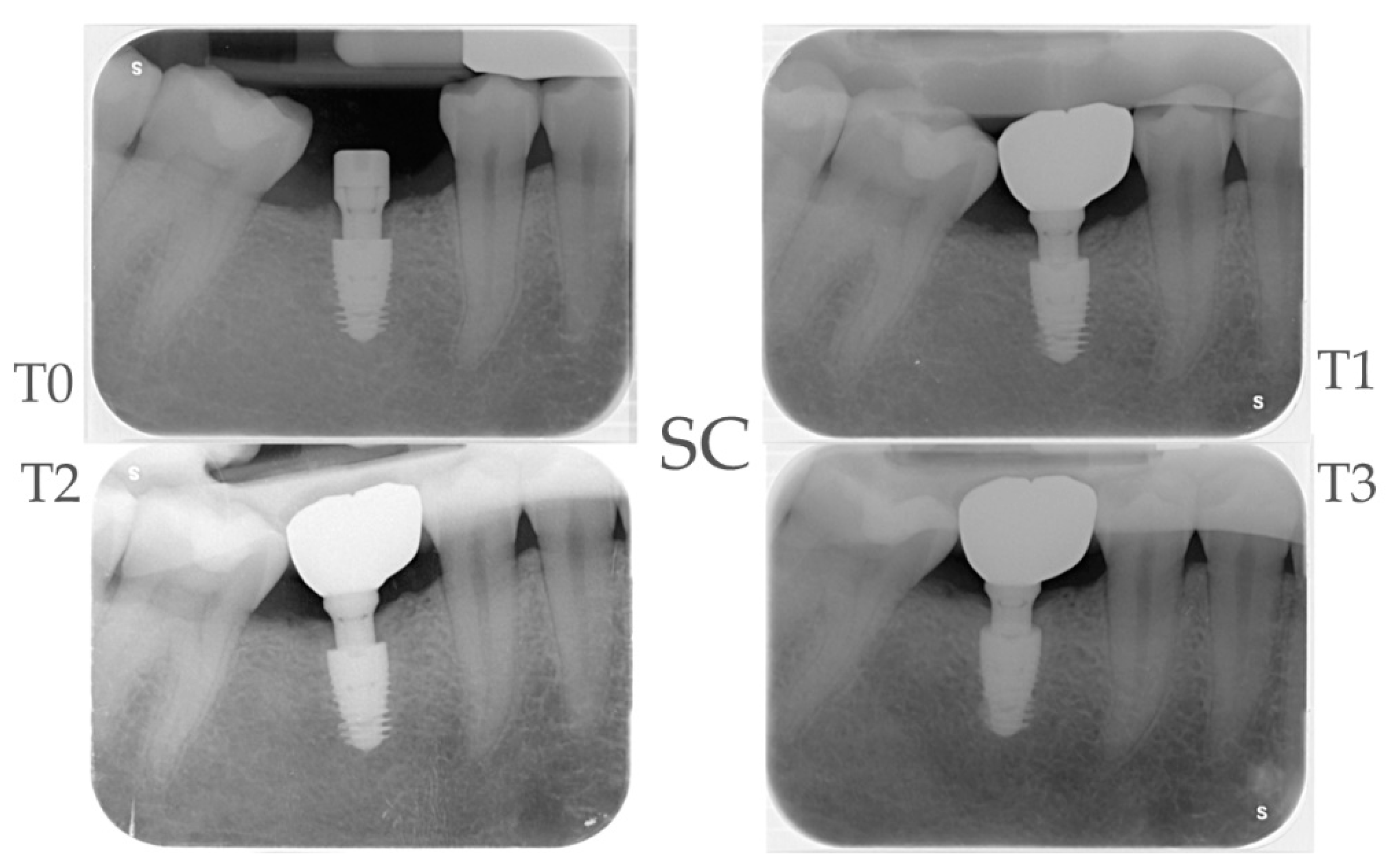 Preprints 100035 g014